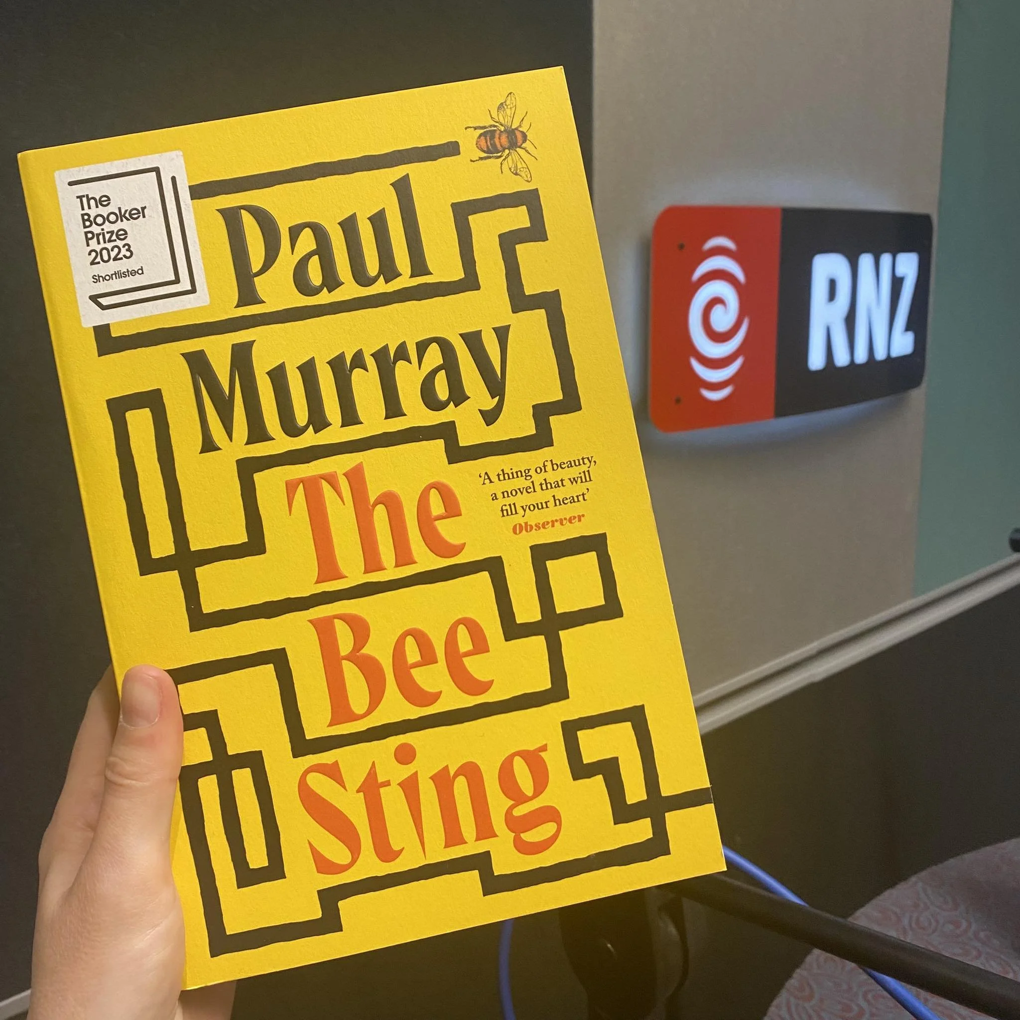RNZ's Nine to Noon: The Bee Sting by Paul Murray