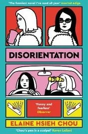 disorientation.jpeg