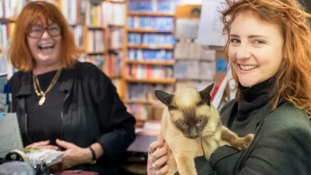 From Fifty Shades to the classics, independent bookstores are thriving (Copy)