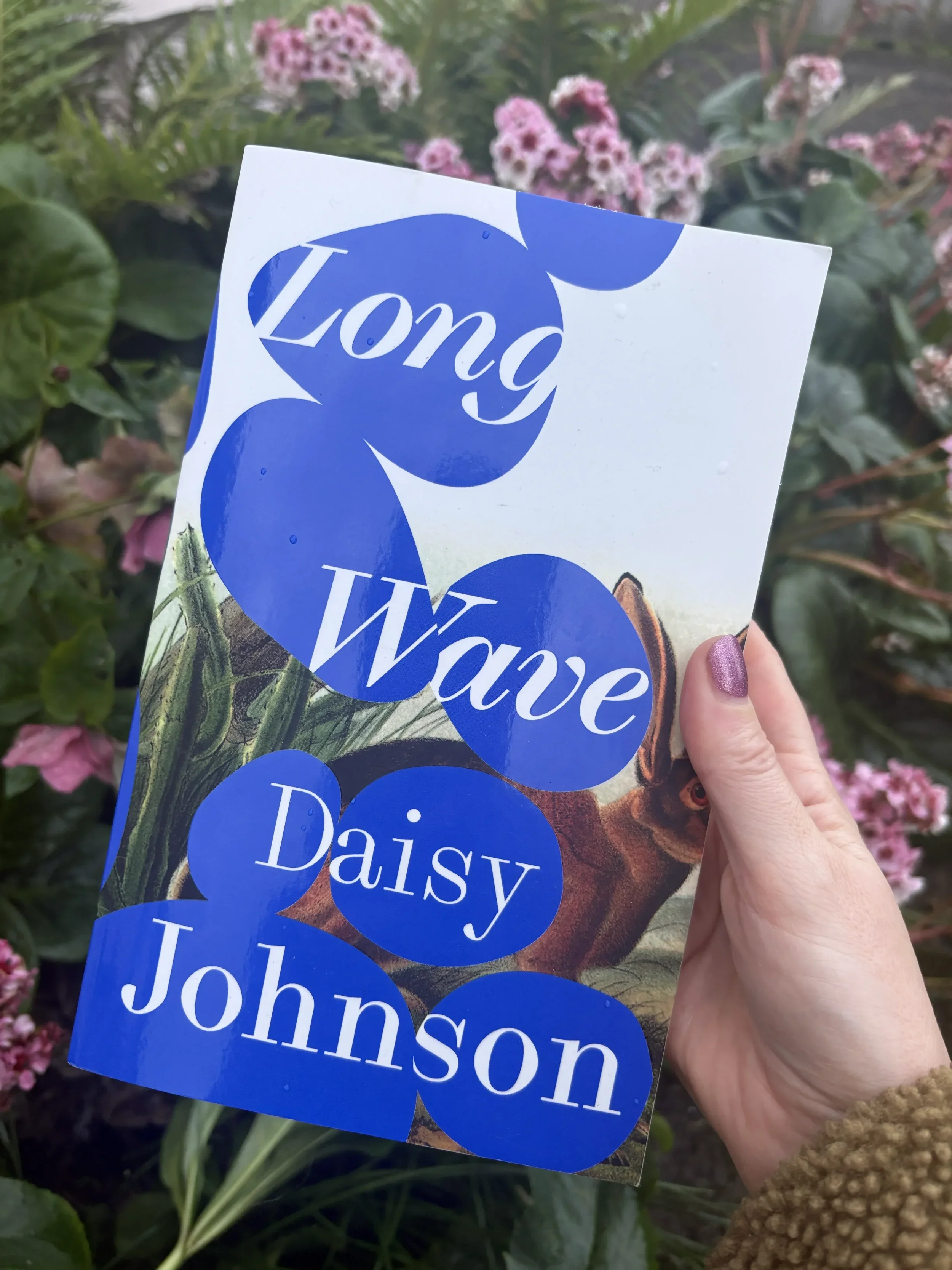 95bFM's Loose Reads: Long Wave by Daisy JohnsoN