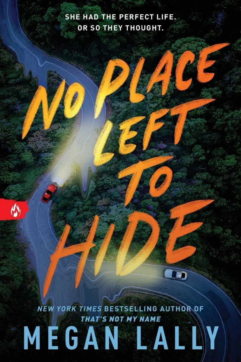 Book cover of "No Place Left to Hide" by Megan Lally, featuring an aerial view of a winding river with green trees, a red car with a fire hazard symbol near it, and a white car on the road, with the title in bold orange and yellow text and author's n