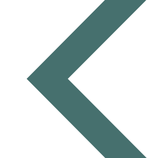 FS Arrow Graphic