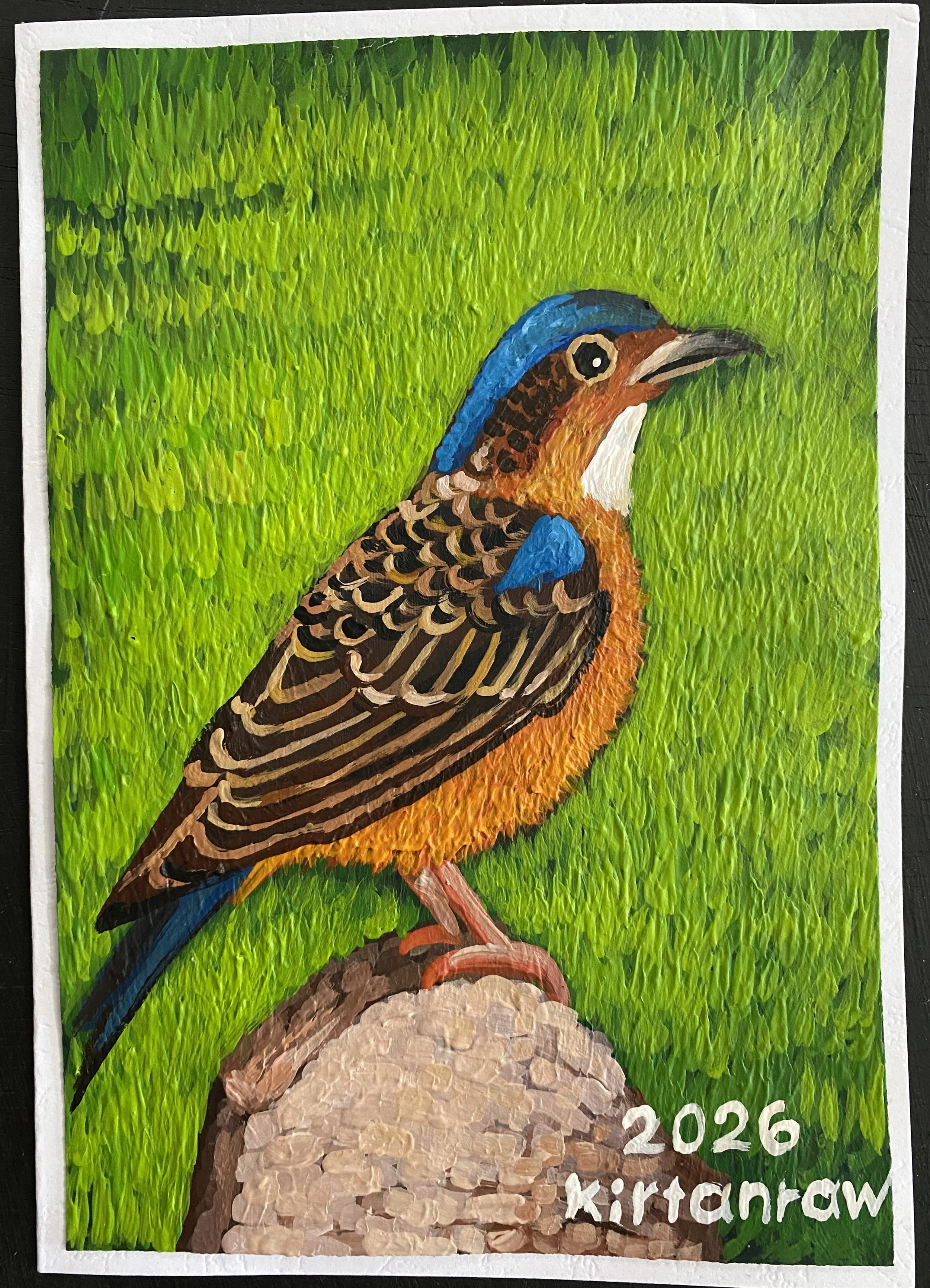 Painting of a bird, specifically a Kirtland's warbler, with vibrant green background, detailed feathers, and the text '2026 Kirtland' in the bottom right corner.
