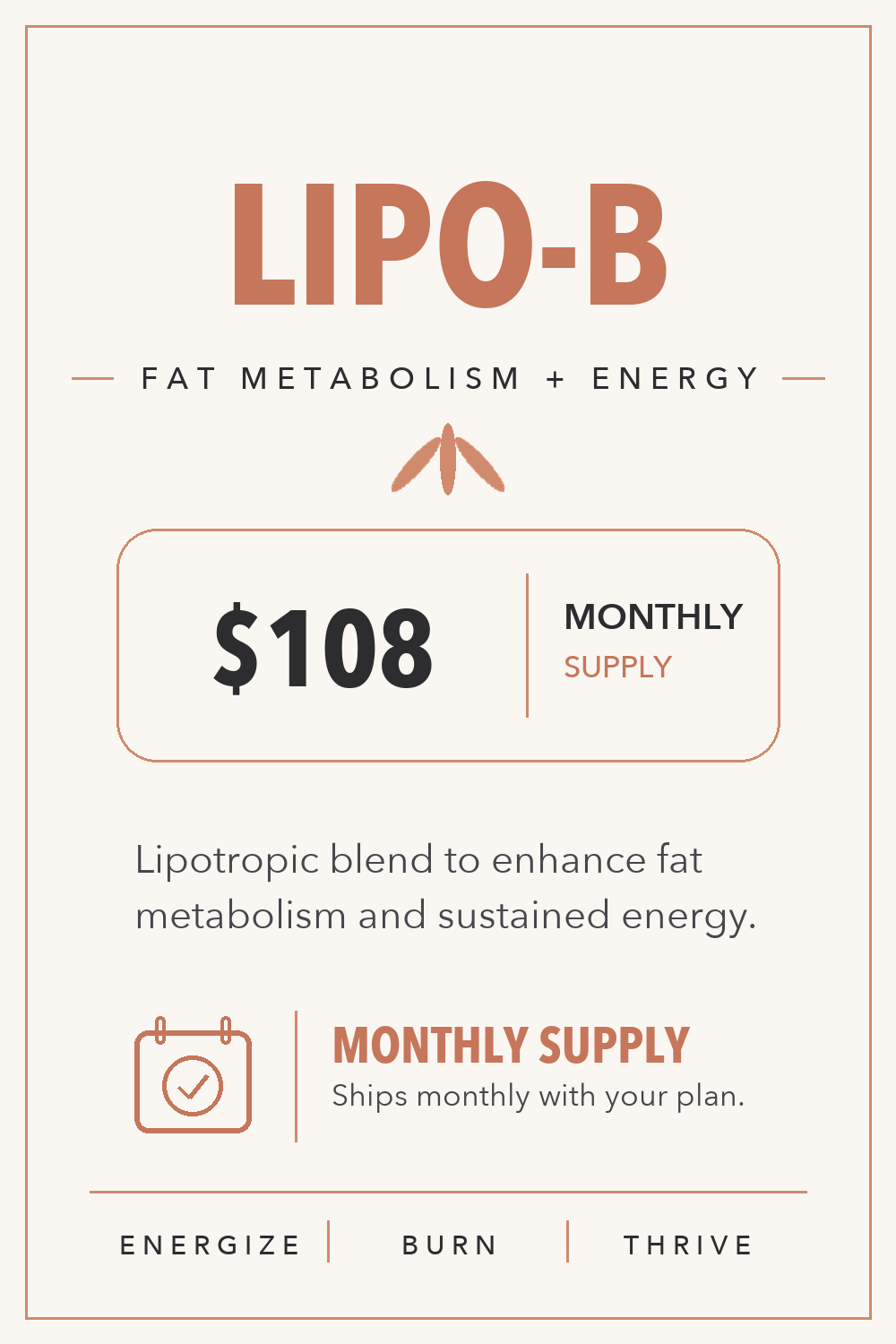 Lipo_B_website.png
