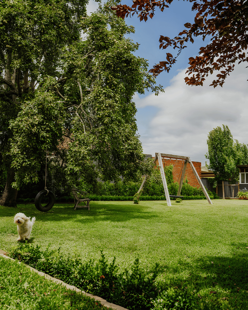 A backyard with a large tree, a tire swing, a small dog, a bench, and a swing set in a grassy area under partly cloudy skies.