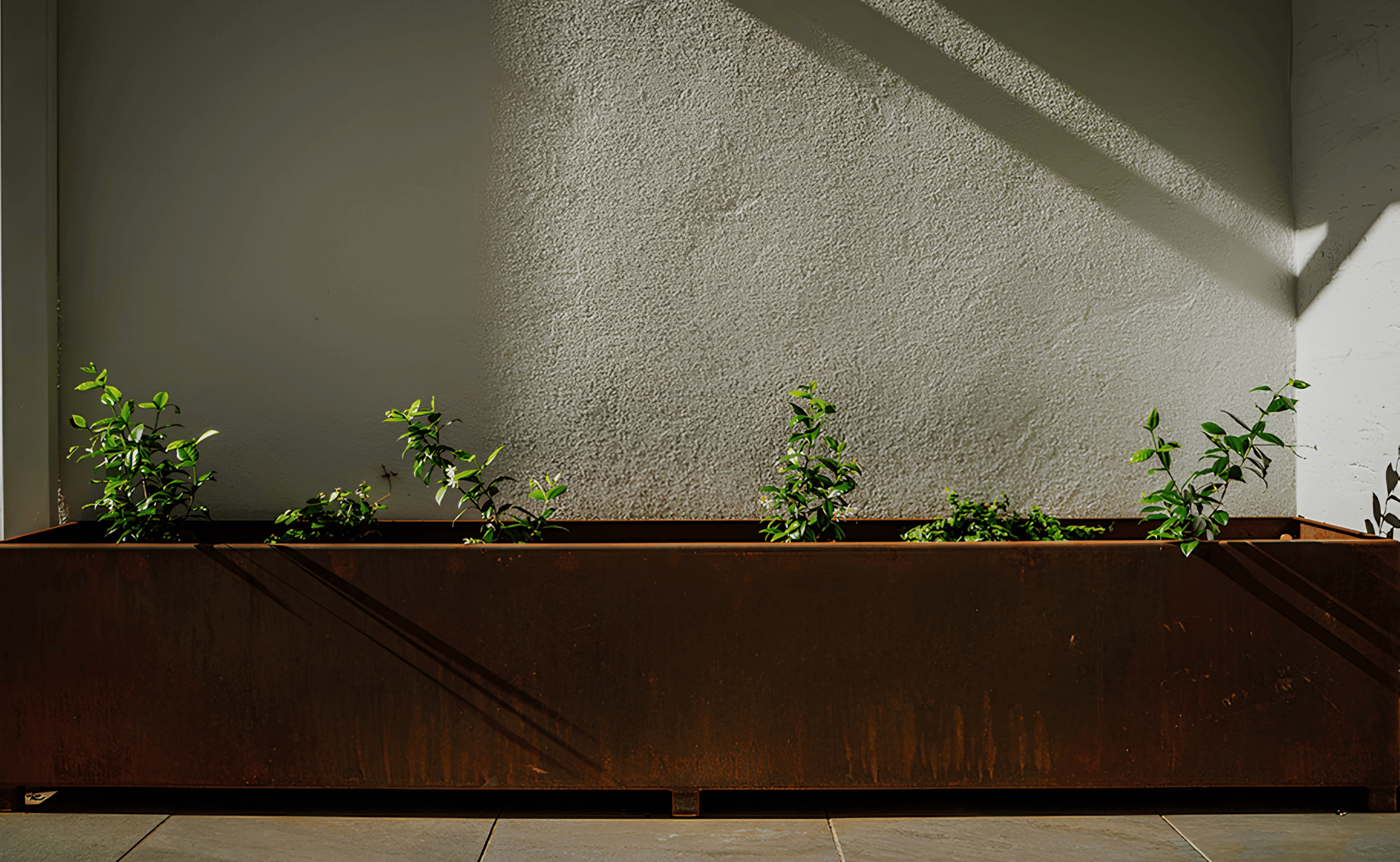 A rectangular metal planter box with small green plants, set against a textured beige wall with shadows cast on it.