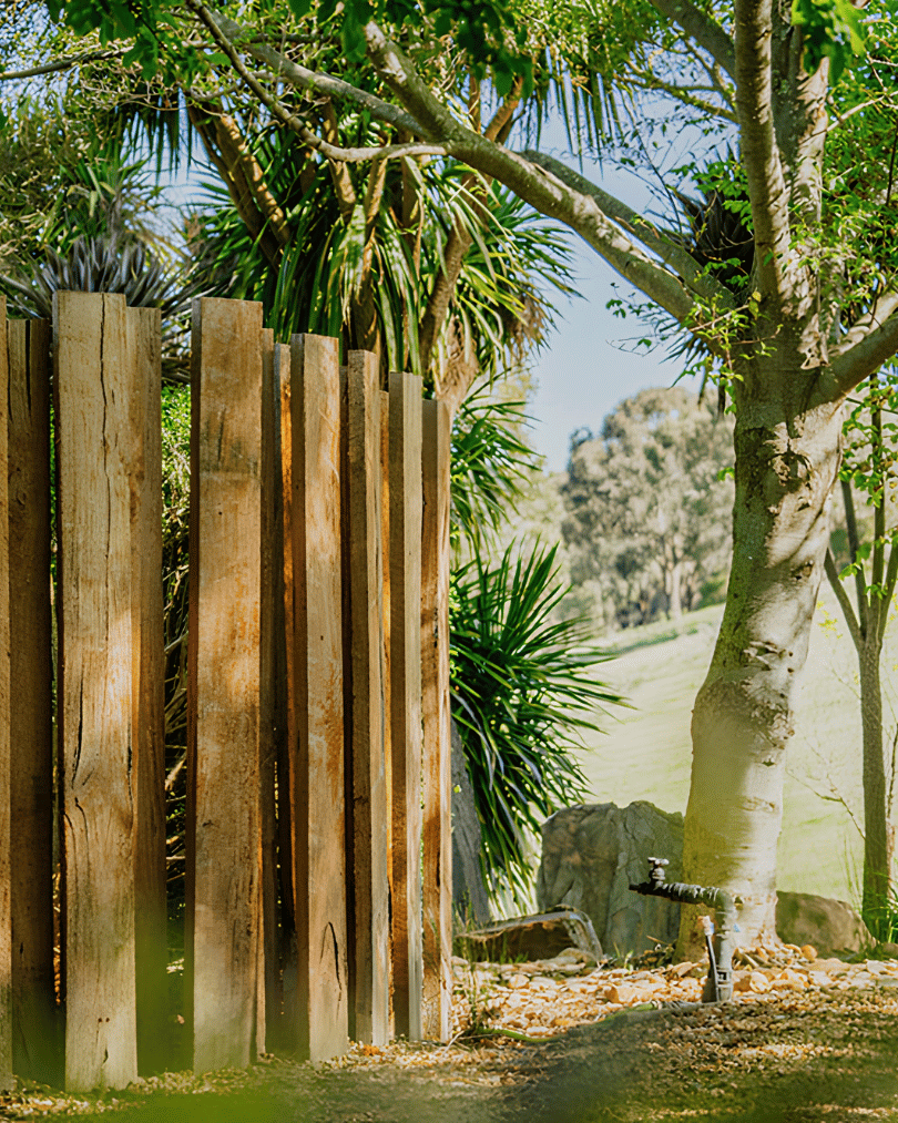 A wooden fence next to a tree with lush green leaves, and an outdoor water faucet on a garden ground.