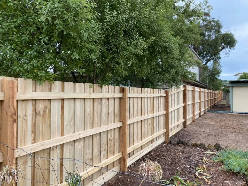 Newly built wooden fence extending along the backyard with trees and a house in the background.