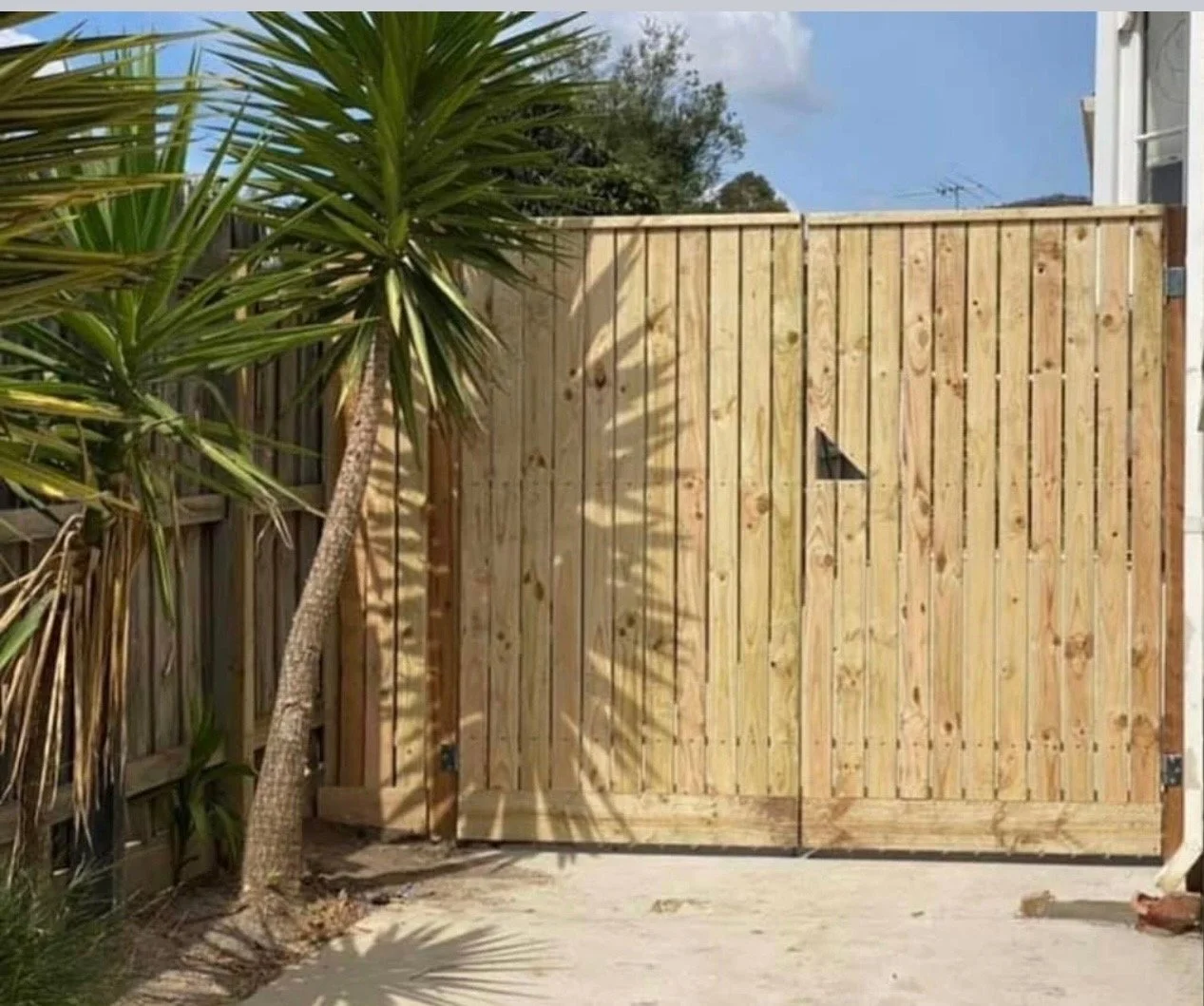 Wooden gate in a backyard with a palm tree on the left and shadows of palm leaves cast on the gate