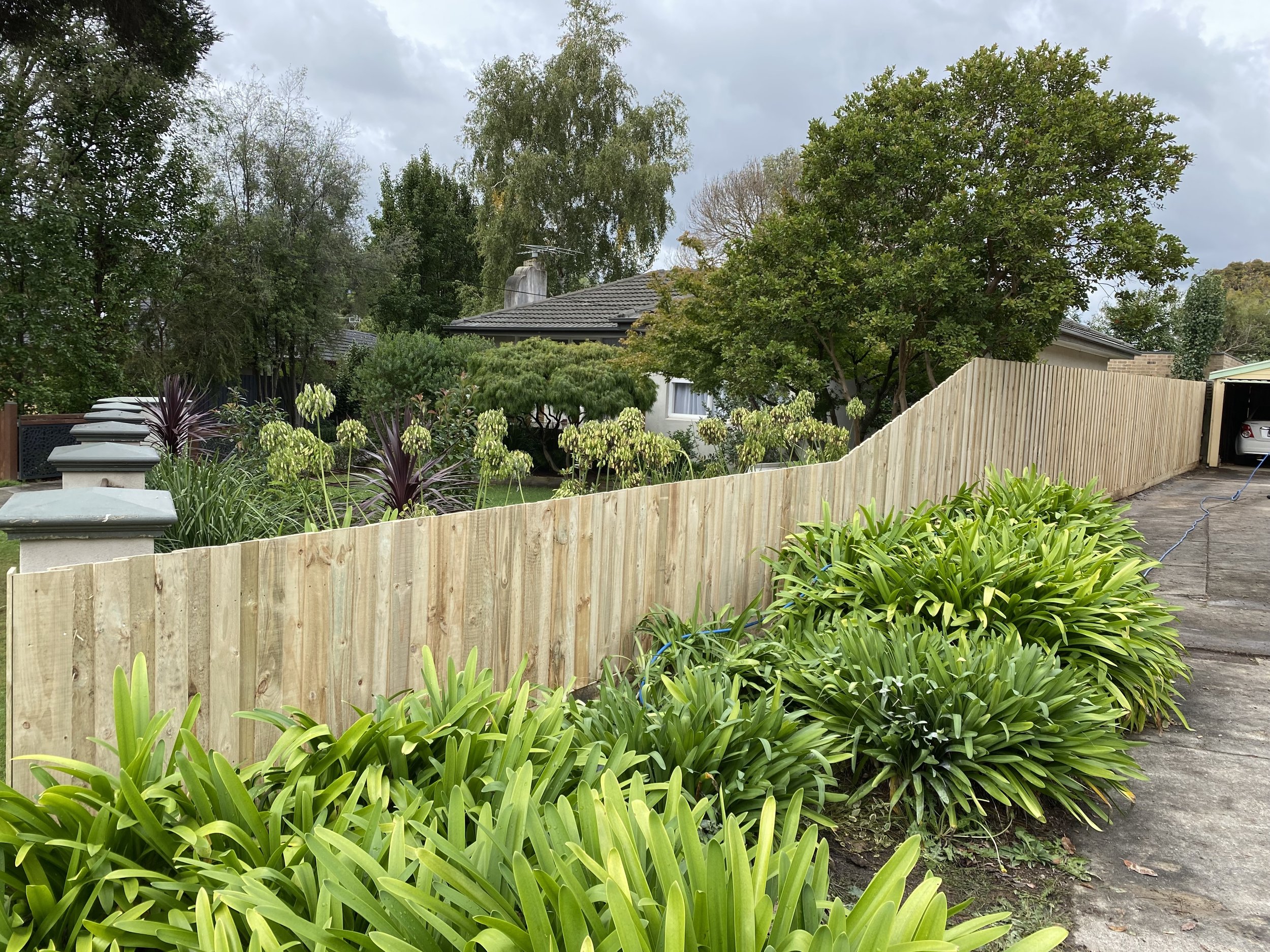 A backyard scene with a wooden fence, green plants, trees, a house with a tiled roof, and an overcast sky.