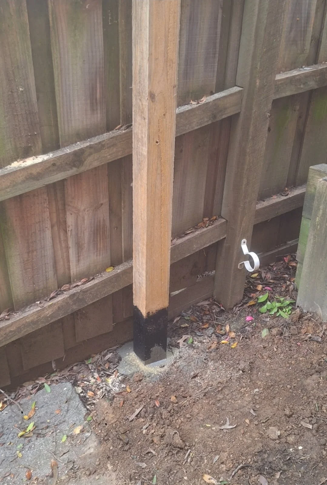 Part of a wooden fence with a small white hook attached to one of the fence posts and black paint at the bottom of the post. The ground is dirt and has some leaves and small plants.