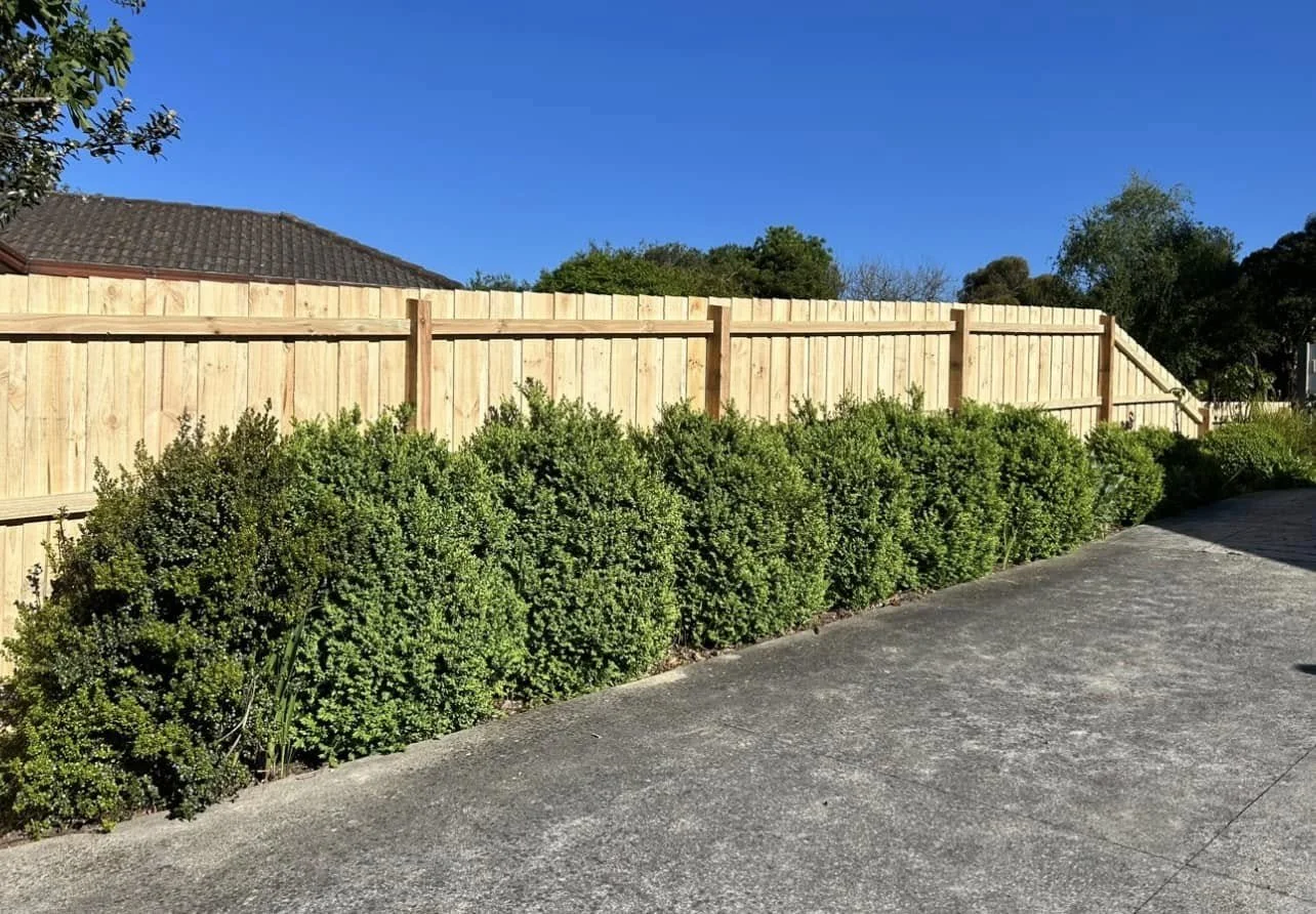 A wooden fence with bushes in front of it, on a paved area under a clear blue sky.