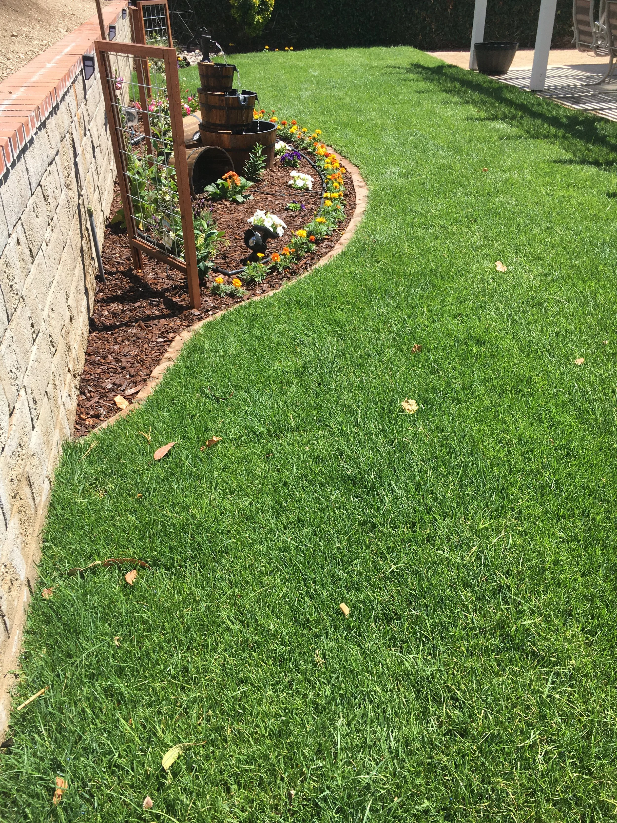 Green well-maintained lawn with a flower bed surrounded by red brick edging, featuring colorful flowers and water fountain in a backyard garden.