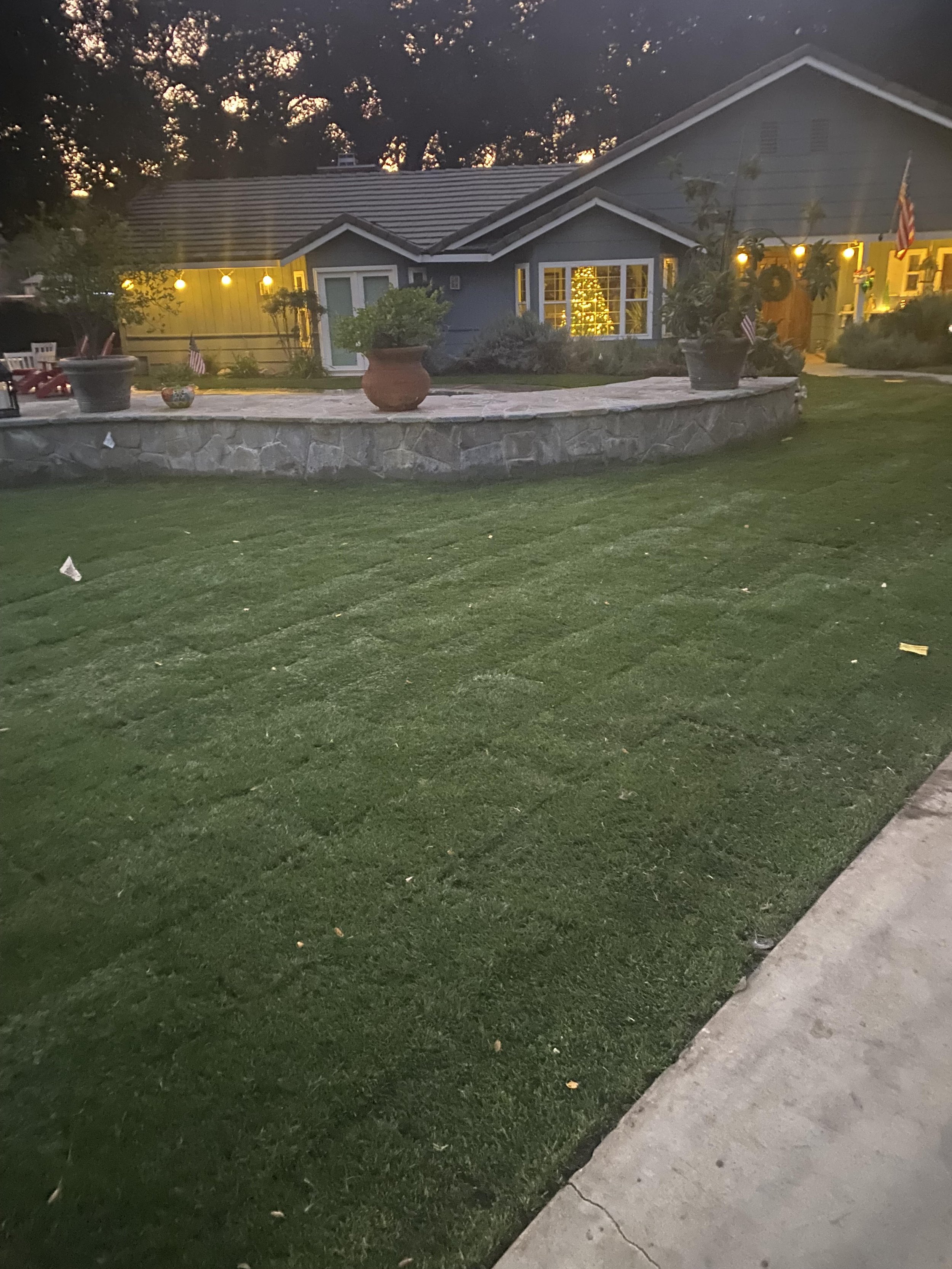 A house with gray exterior walls and a sloped roof, decorated with Christmas lights and a Christmas tree visible through the window. The house has various potted plants outside and is illuminated by warm yellow lights. The front yard features a stone retaining wall and a well-maintained grassy area, with a concrete sidewalk running along the edge.