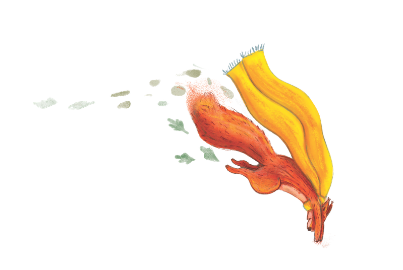 A cartoon-style illustration of a chicken with a yellow comb, red wattle, and white feathers.