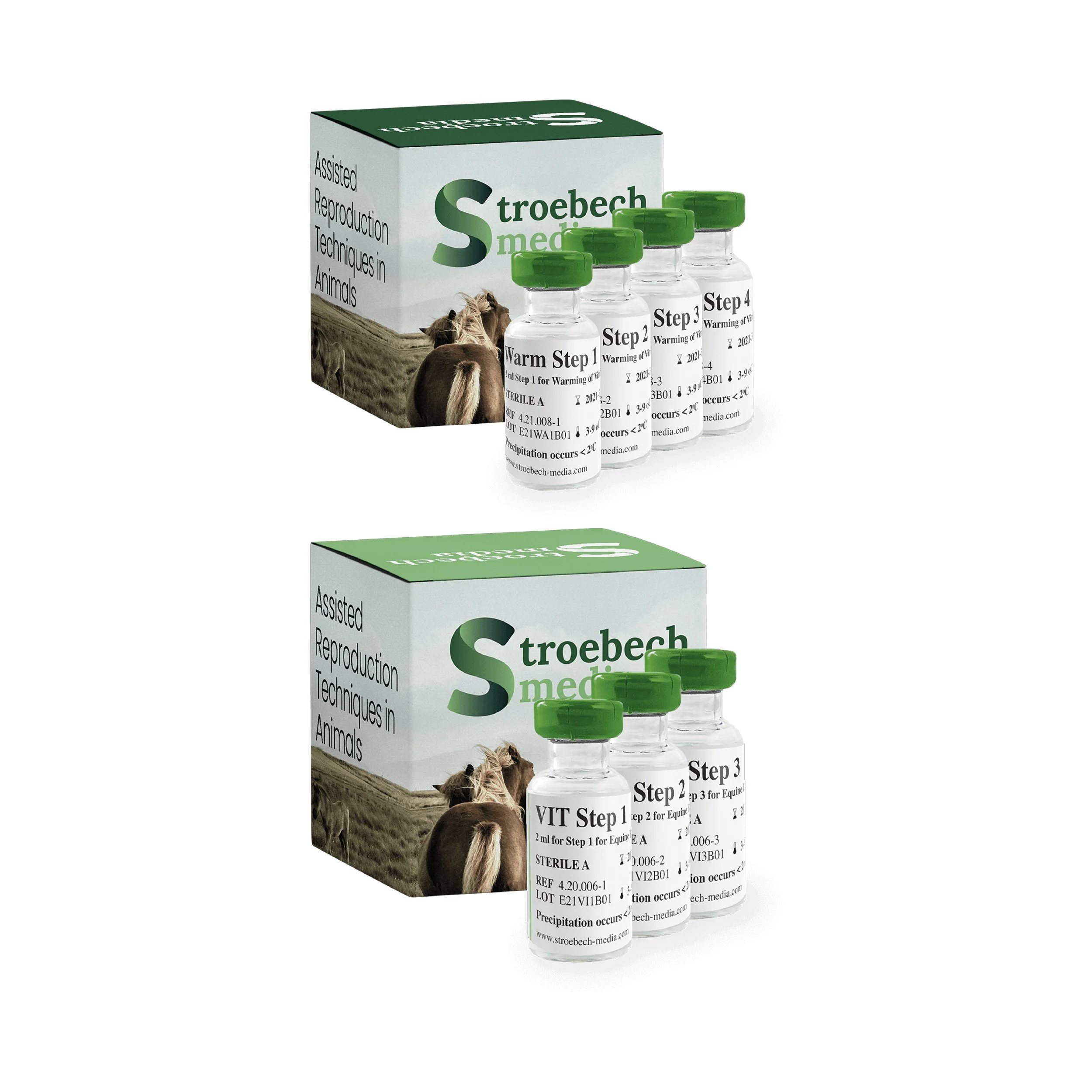 Stroebech Equine 7.jpg