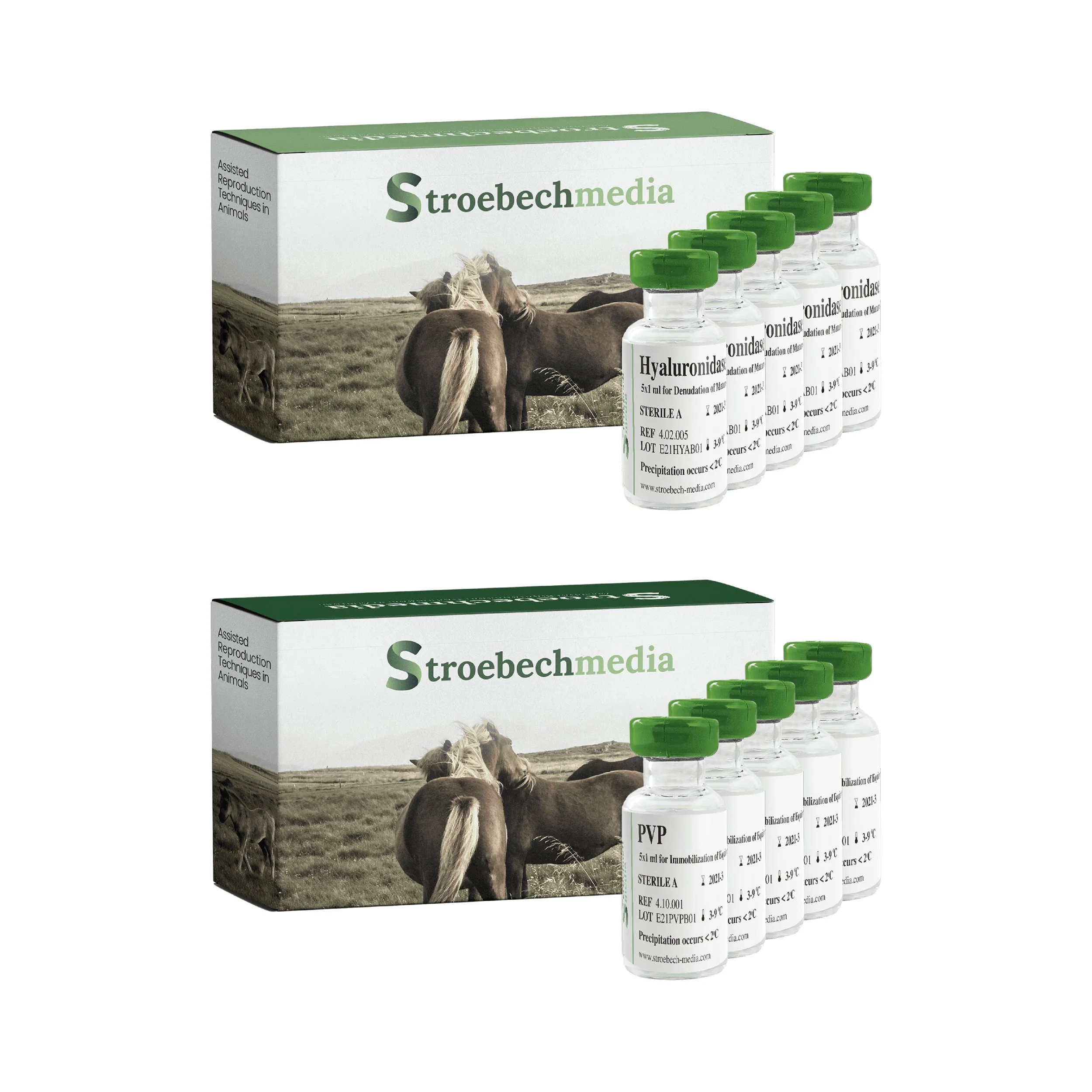 Stroebech Equine 6.jpg