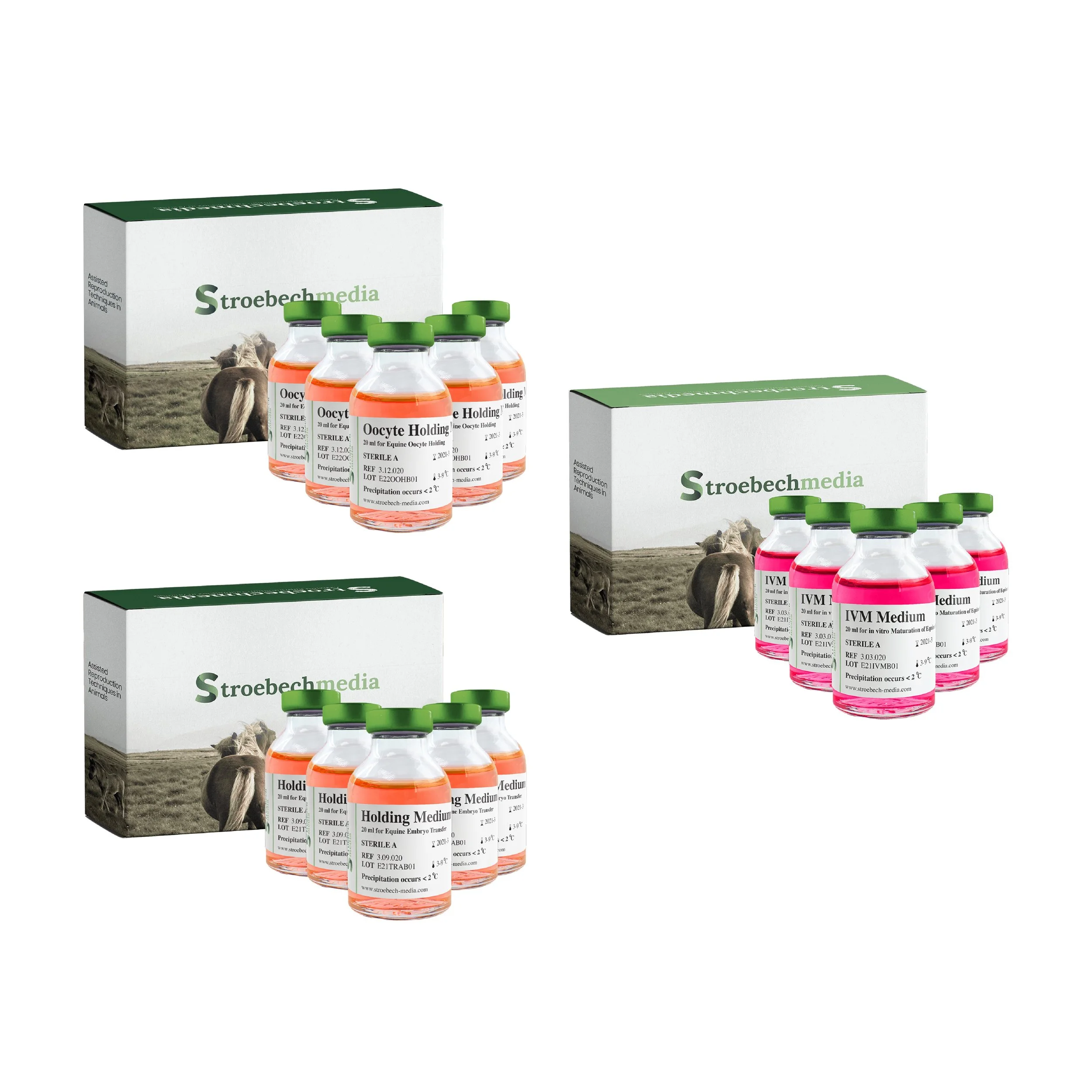 Stroebech Equine 2.jpg