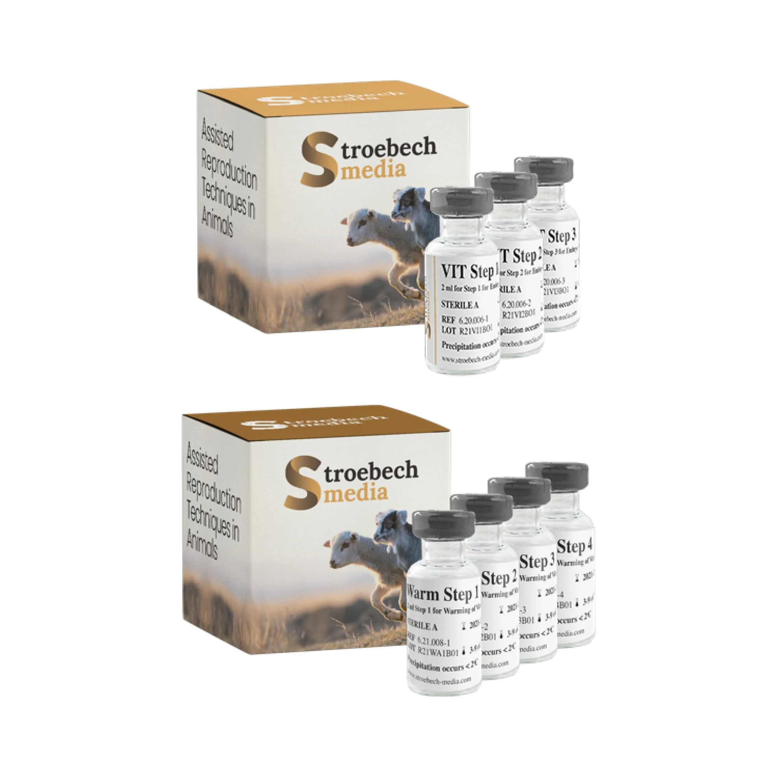Stroebech Ruminant 5.jpg