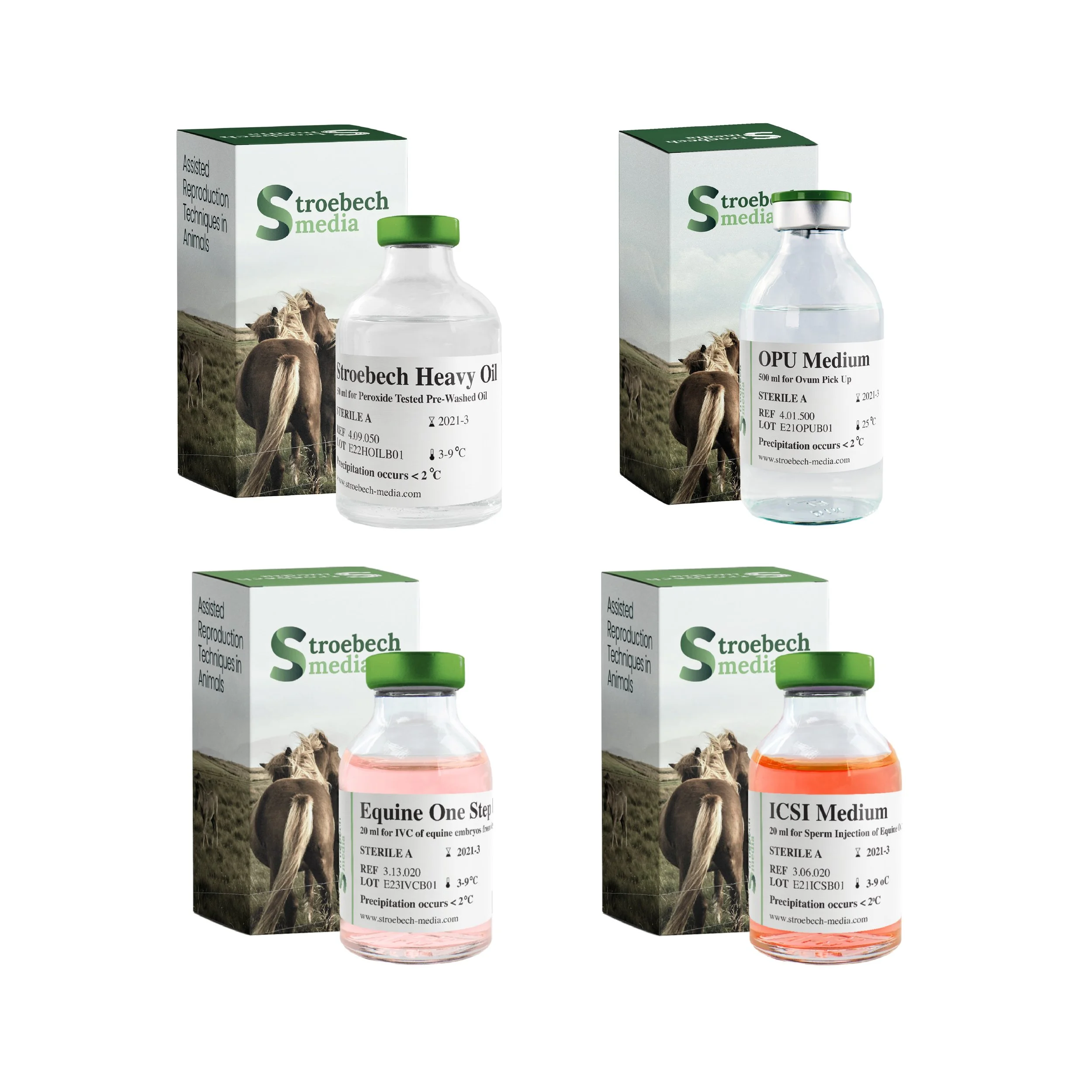 Stroebech Equine 4.jpg