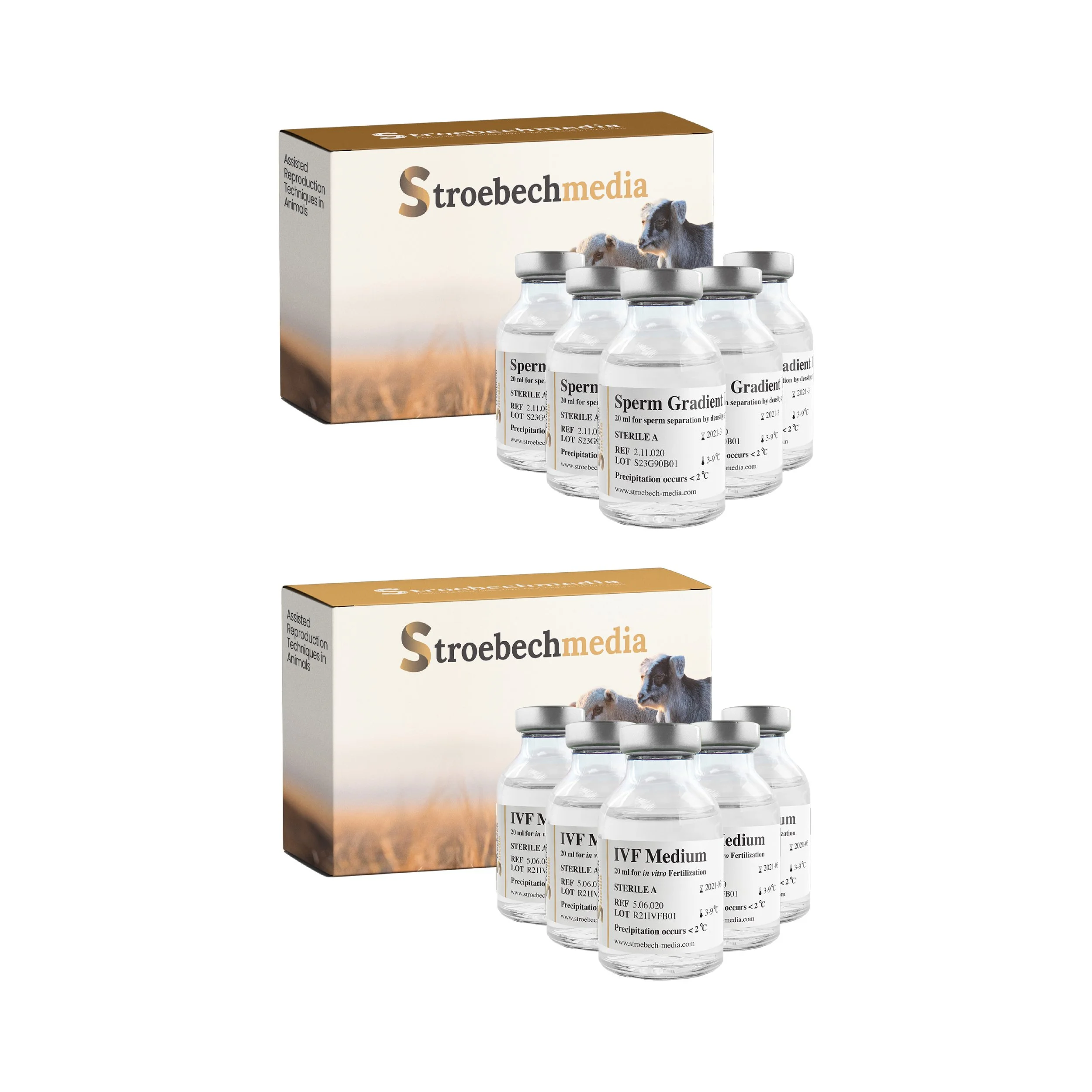 Stroebech Ruminant 4.jpg