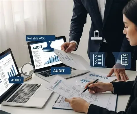 Financial Audit and Assurance