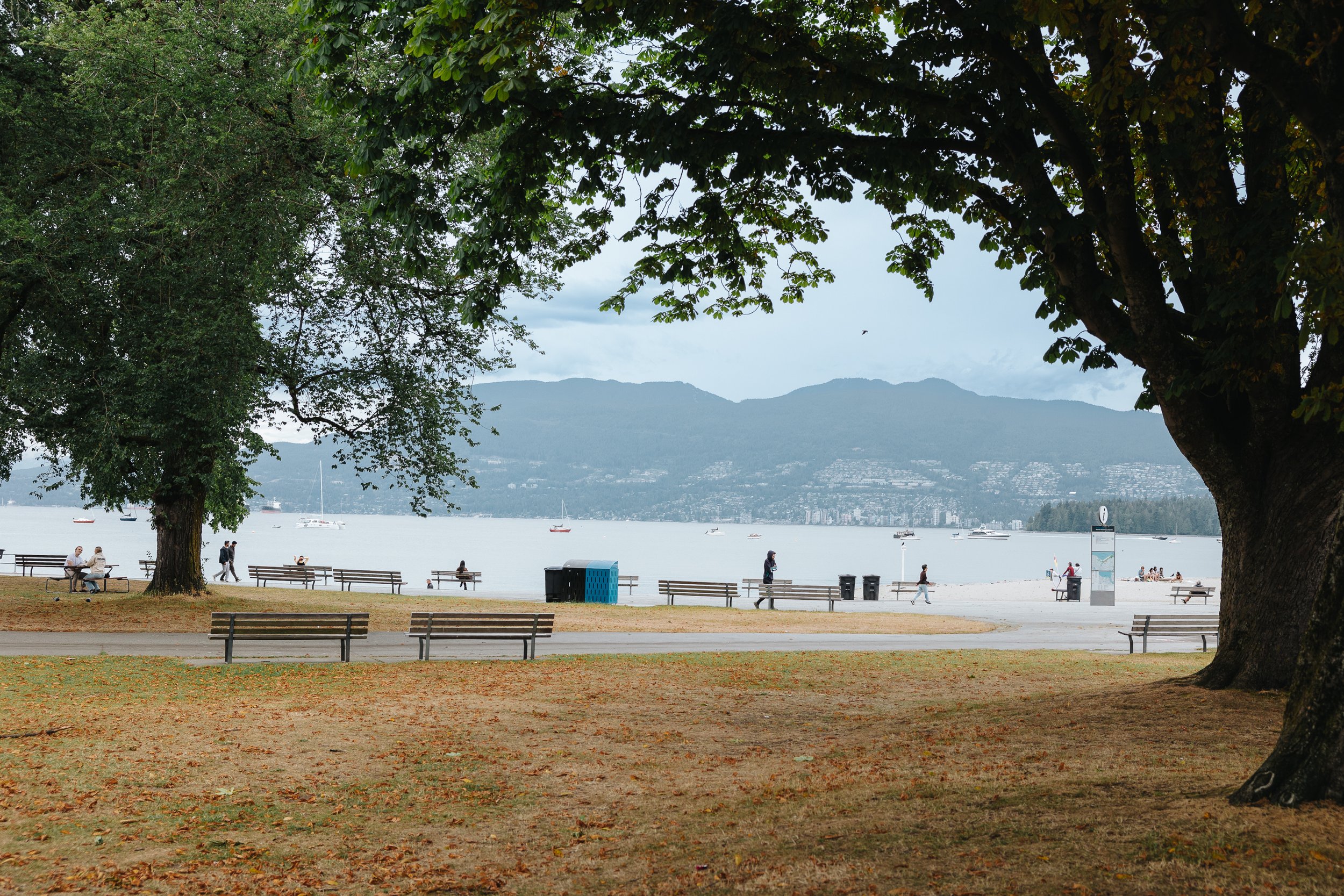 A park with trees near a body of water, some boats in the water, and people relaxing and walking on the sidewalk.
