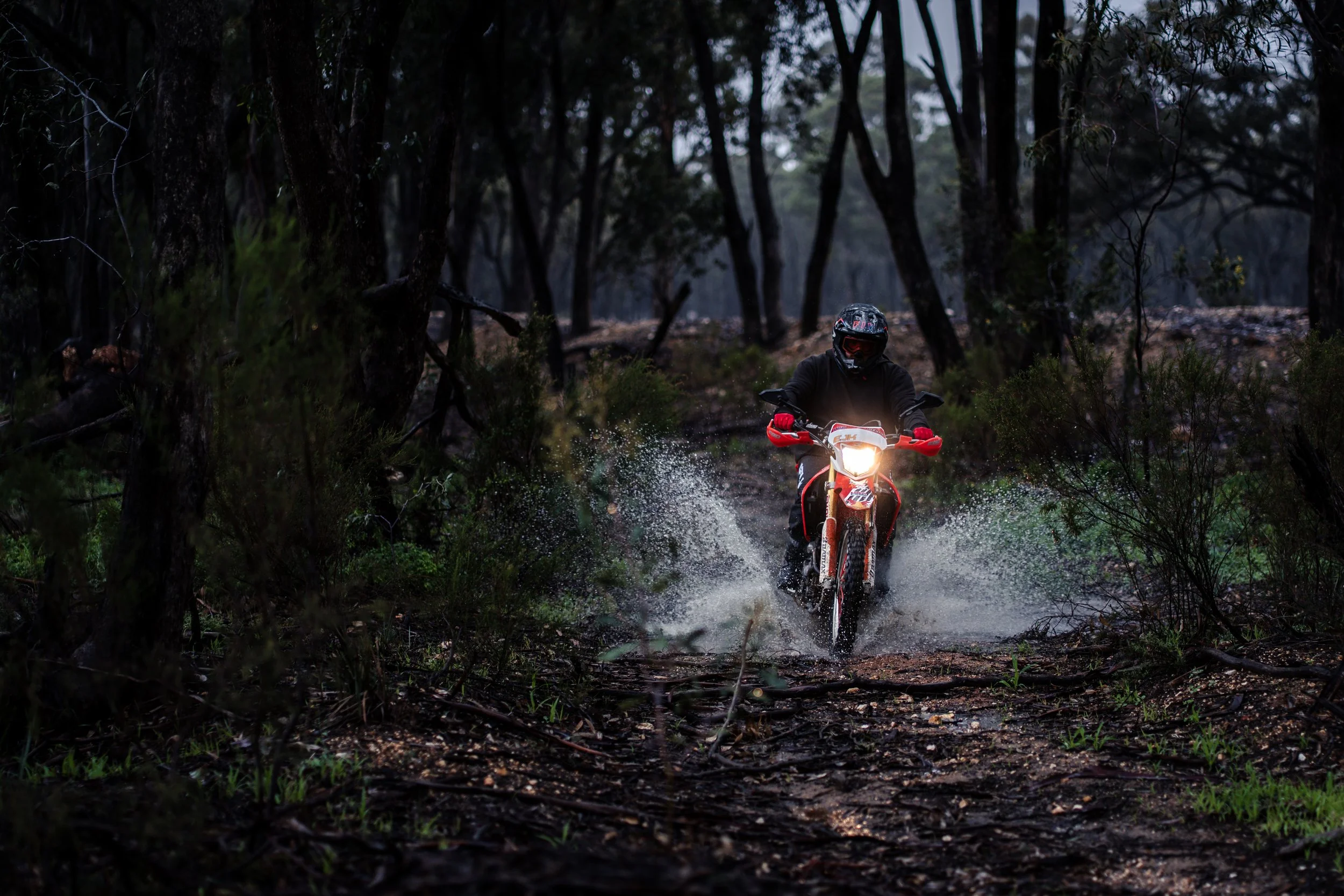 A person riding a dirt bike through a shallow flooded trail in a forest during dusk or dawn, with trees and dense foliage surrounding the scene.