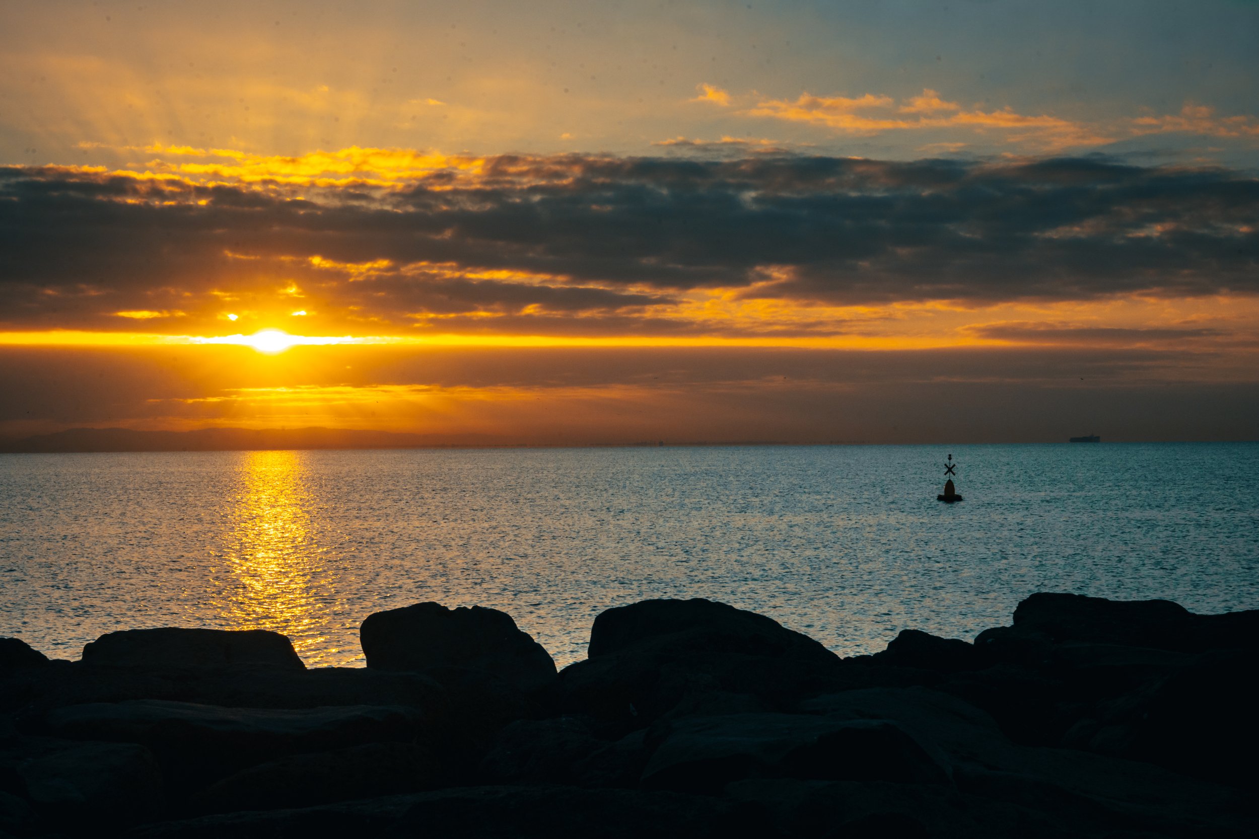 Wydham Harbour wallpaper_Pack 1_08.jpg