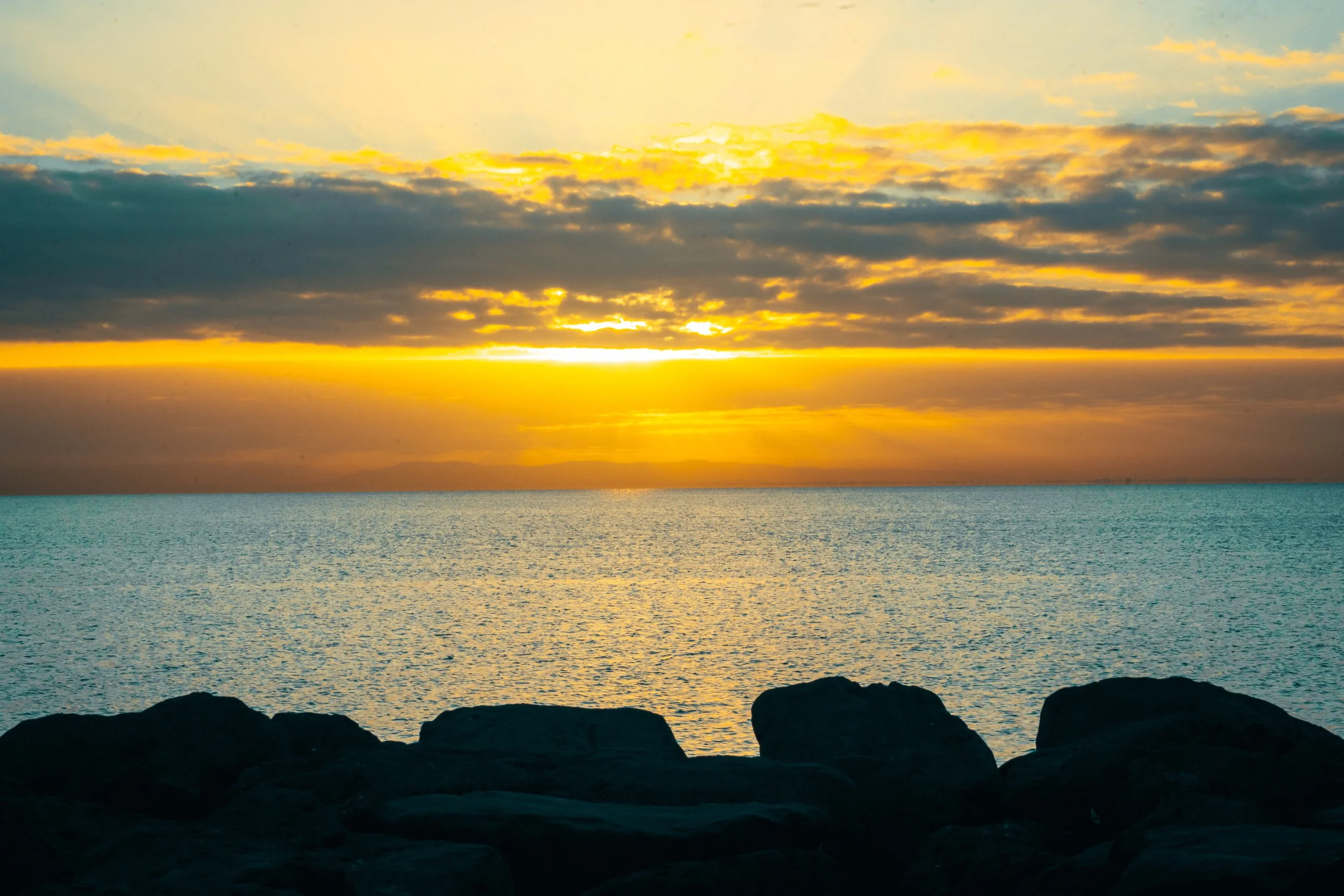 Wydham Harbour wallpaper_Pack 2_12.jpg