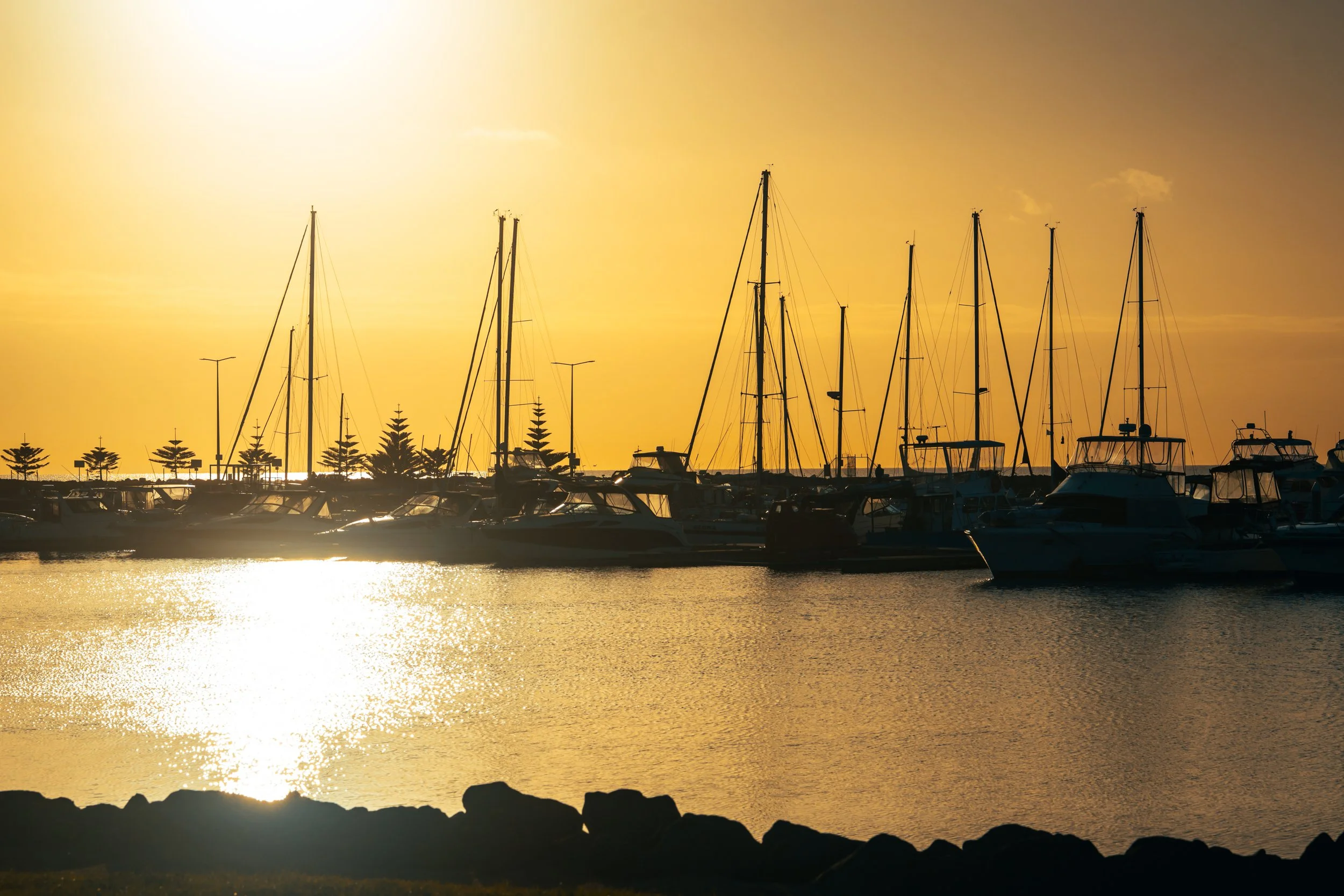 Wydham Harbour wallpaper_Pack 2_20.jpg
