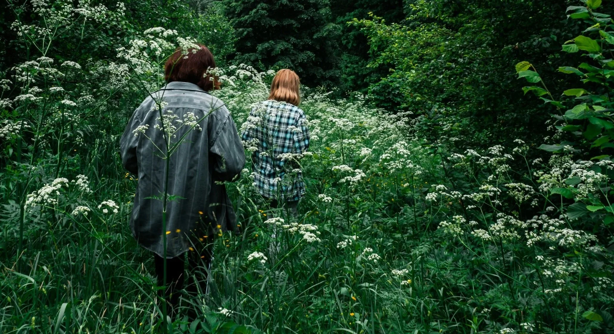 Two women walking in a tall grown opening in a forest