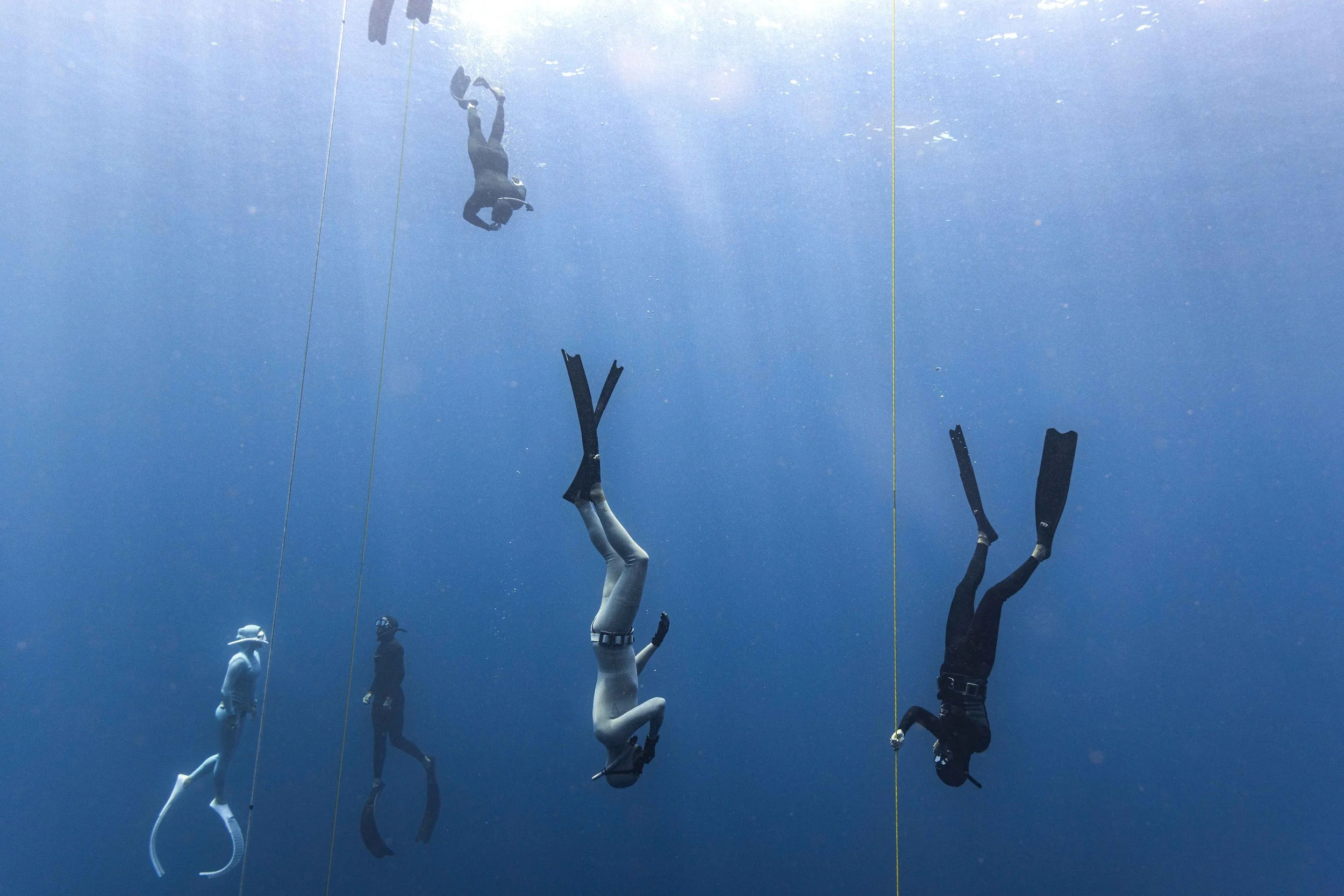  Daily routines, from nutrition, workouts, yoga, and mindfulness to holidays, are dedicated to growing as a diver and deepening the understanding of the ecosystem. Freediving courses support professional development while strengthening the understand