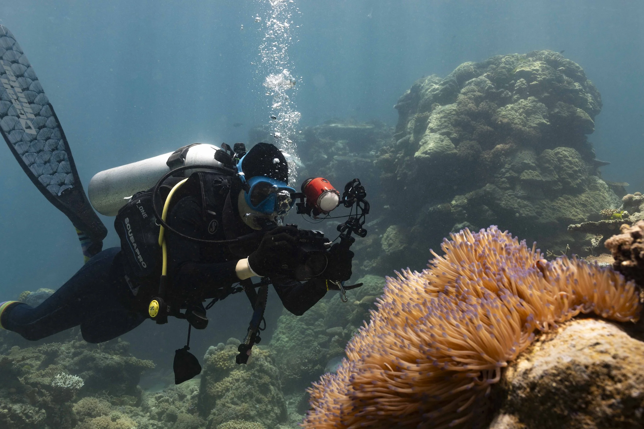  Every possible moment is spent underwater, exploring the most remote corners of the Great Barrier Reef. 