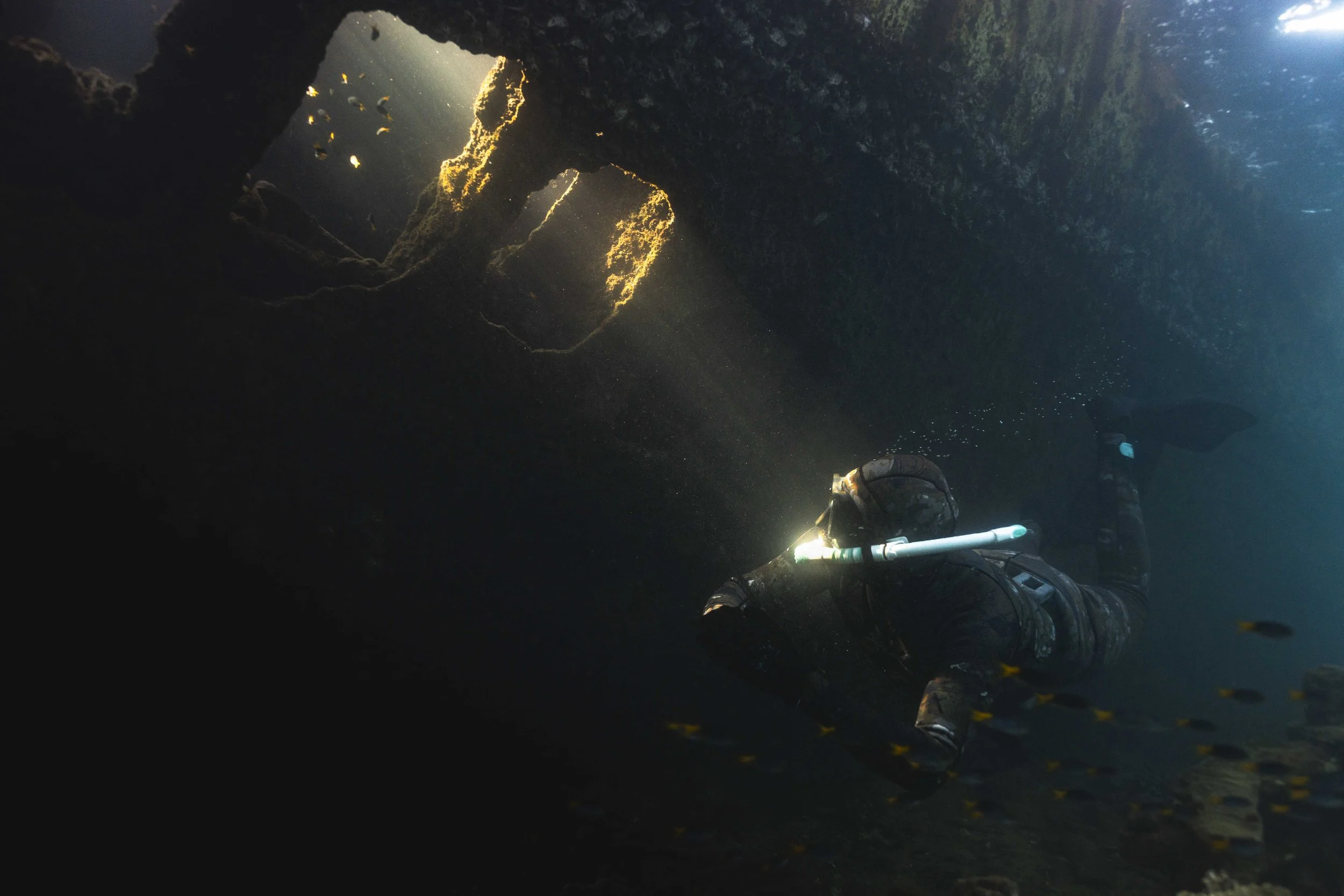  The whole crew is made up of  ocean enthusiasts, so even their free time is spent exploring the local waters. 