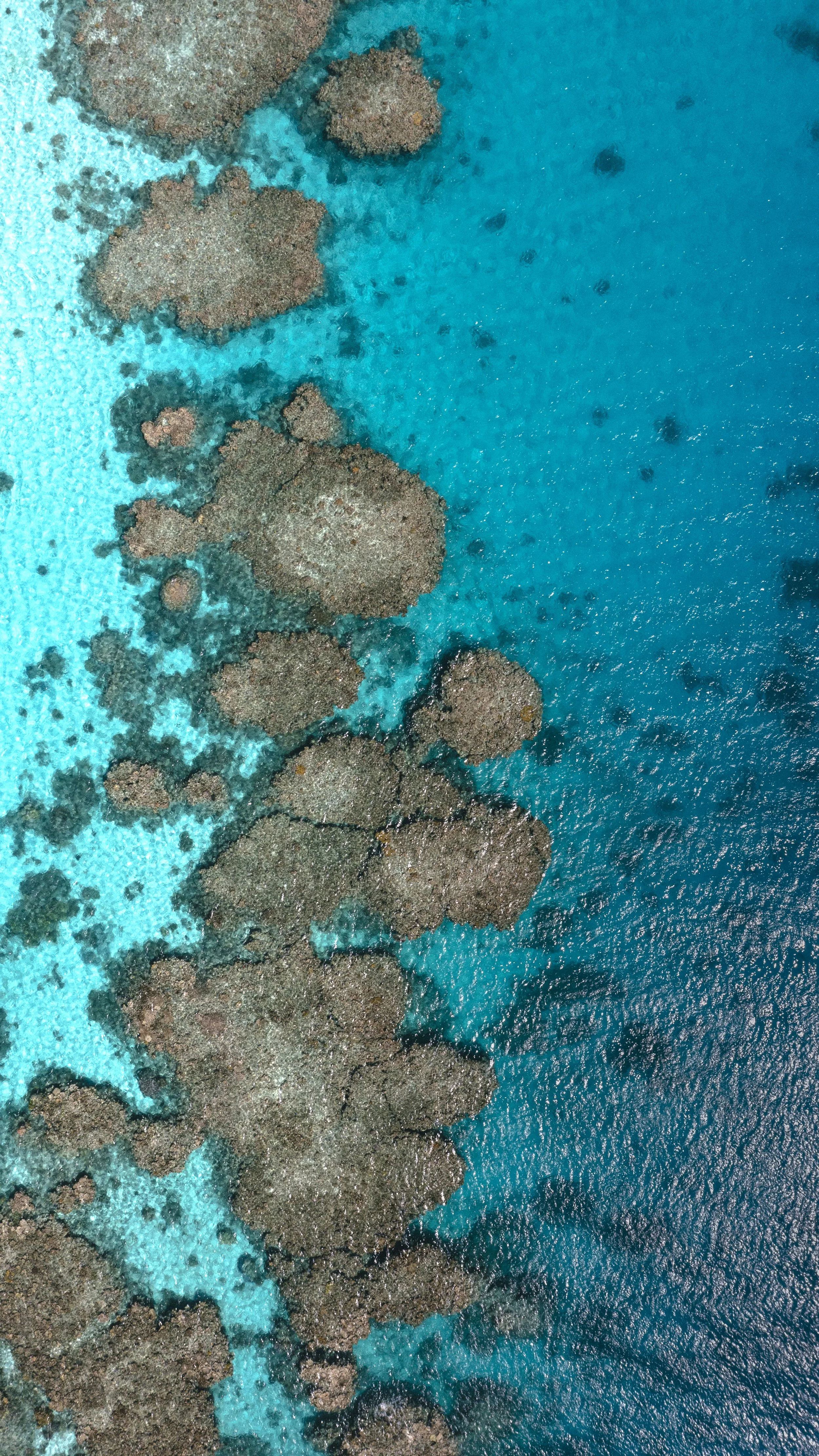 DJI_0983.jpg