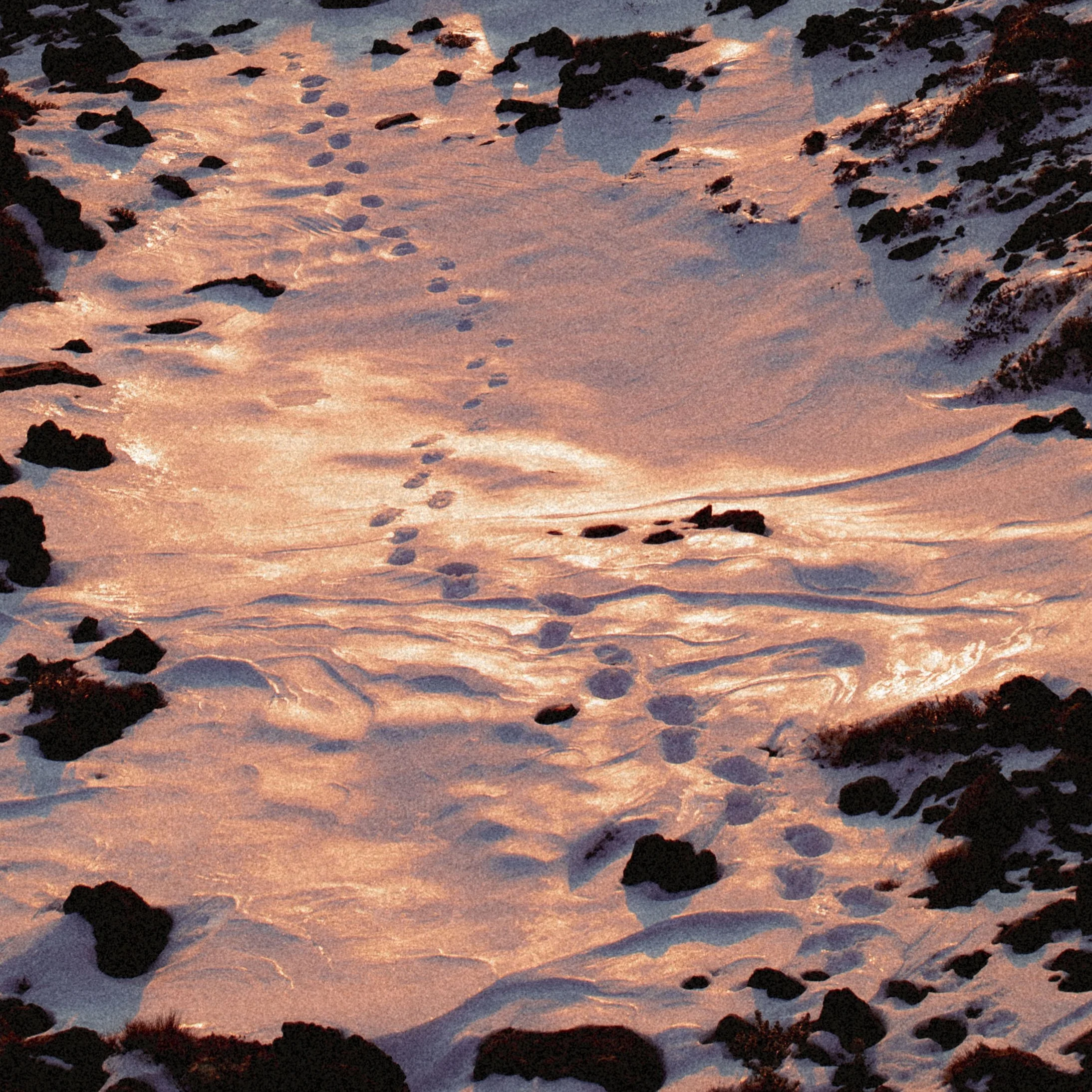 C88A0123.jpg