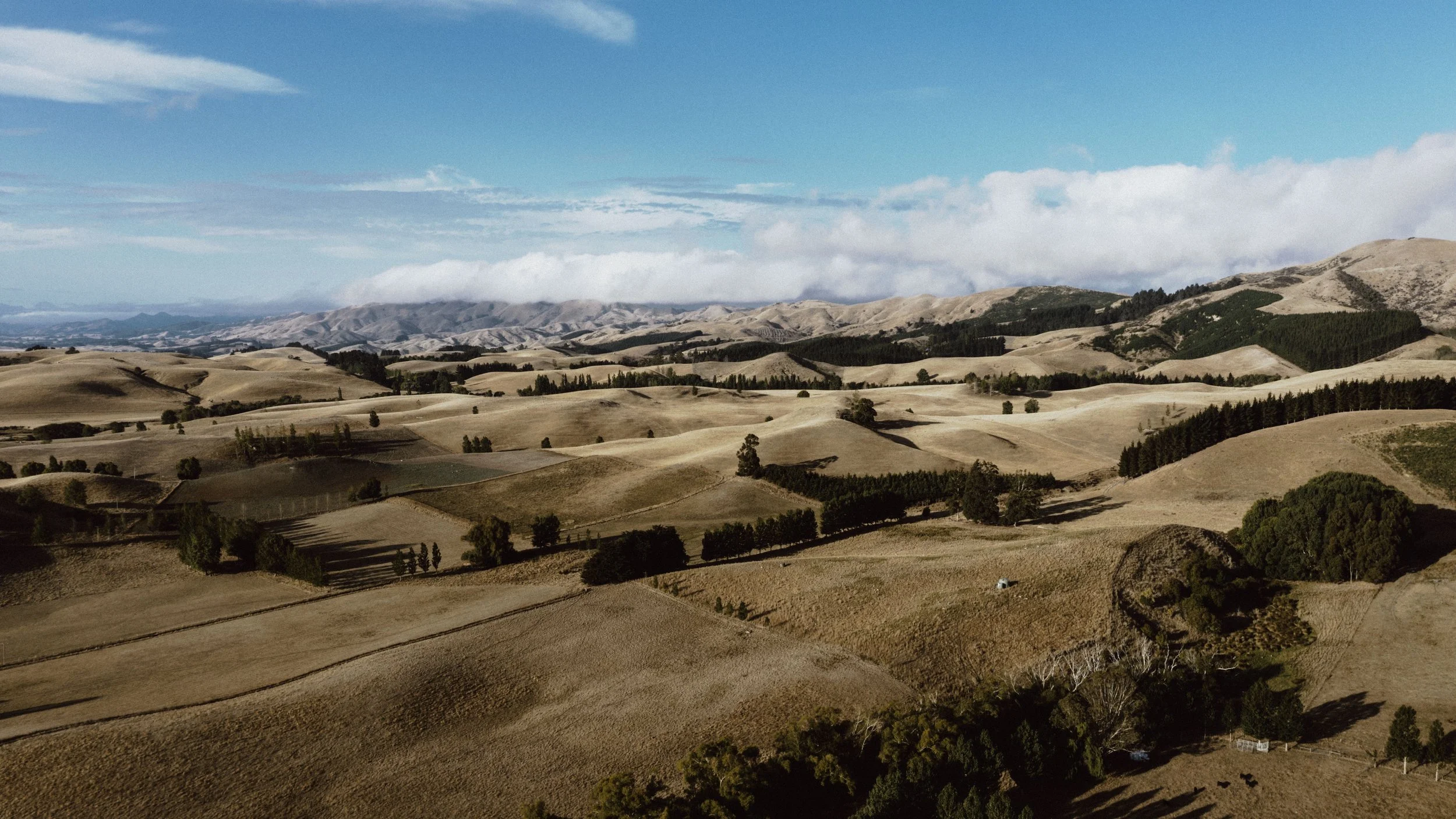 DJI_0126.jpg