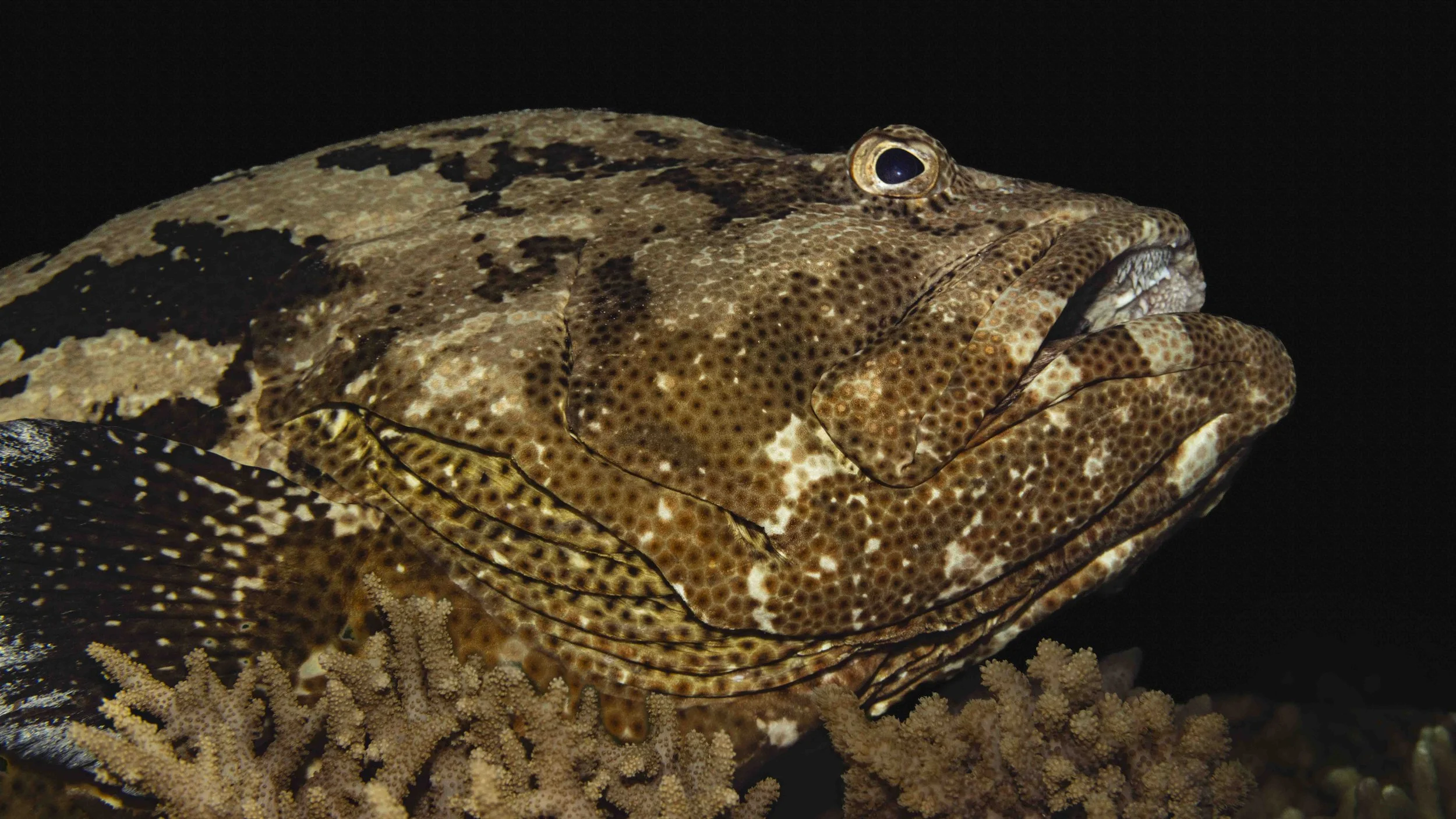 097A4351.jpg