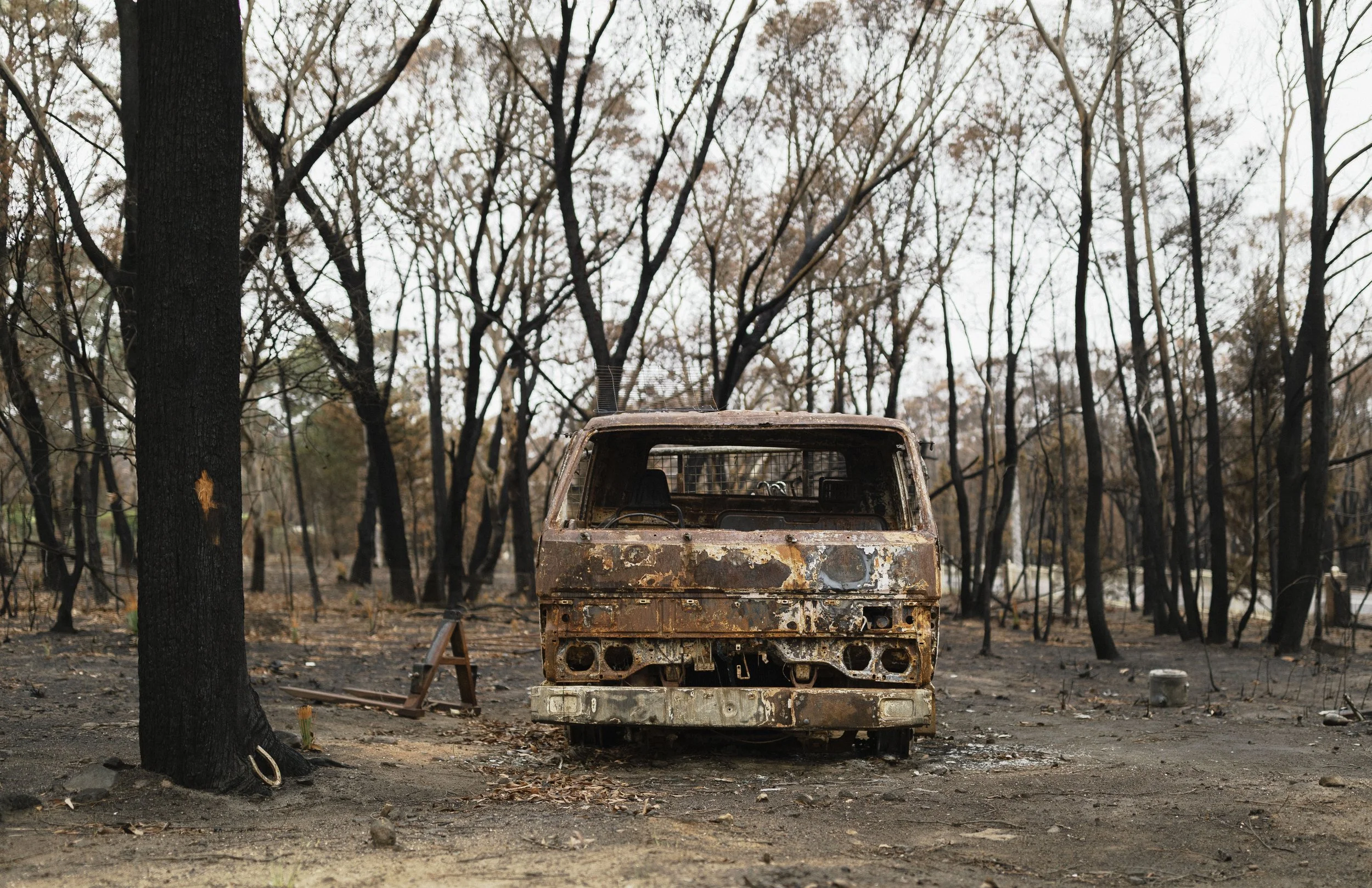 Buschfire aftermath 2019 