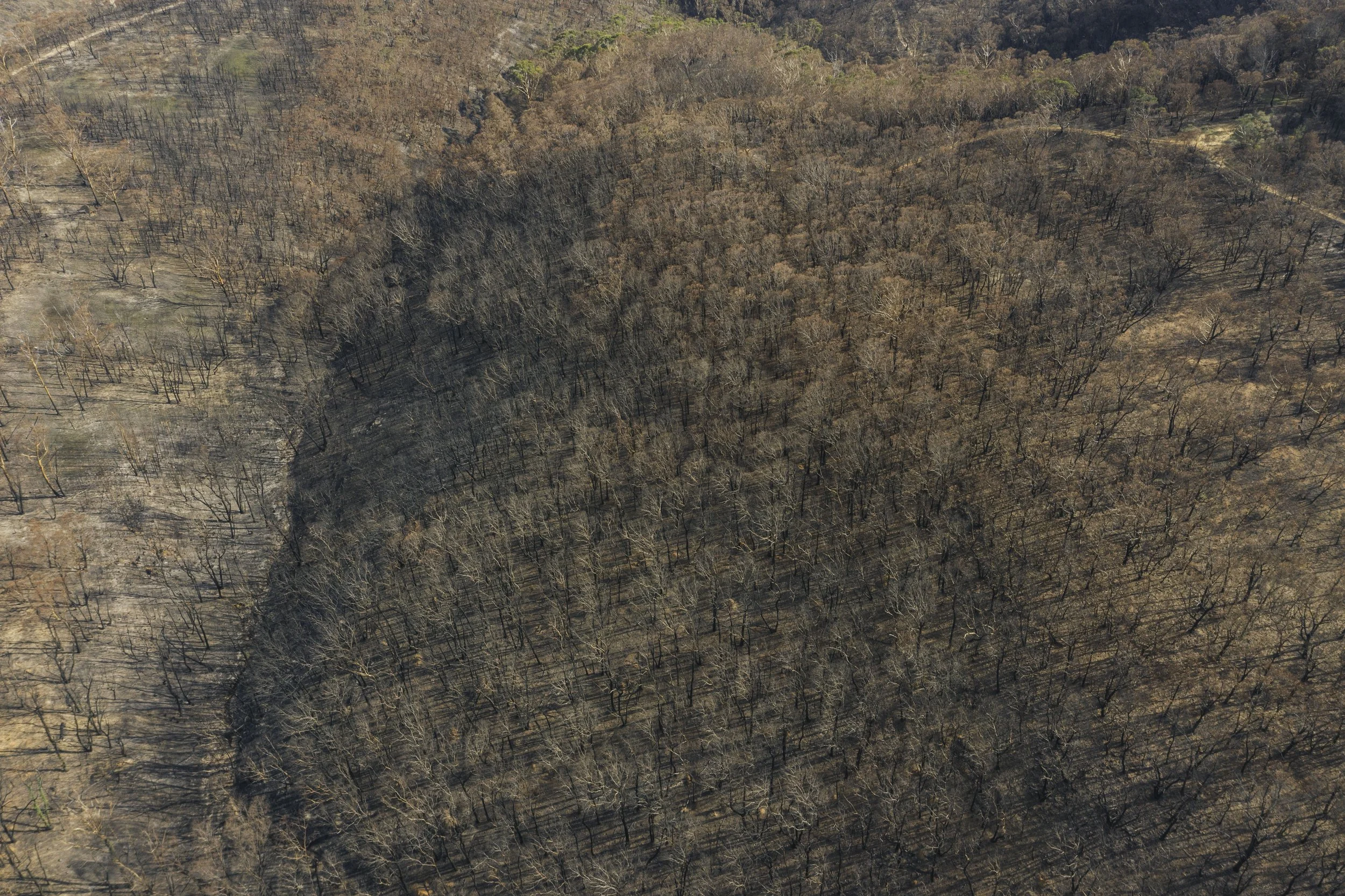 DJI_0013.jpg