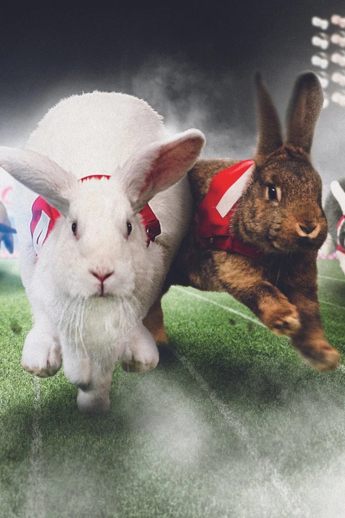 How a 5% discount at Media Markt turned into a nationwide TV show. Starring cute rabbits