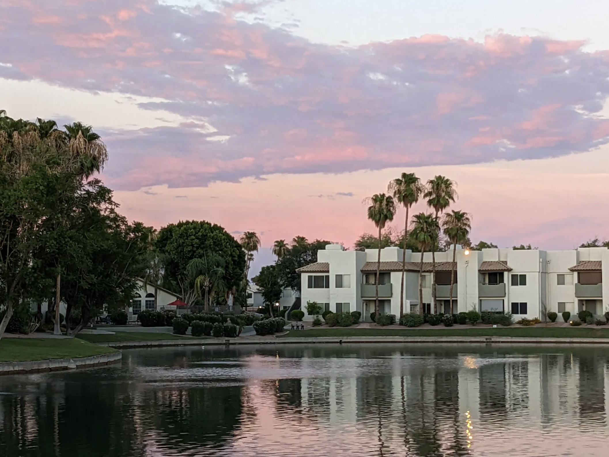 A peaceful neighborhood with white residential buildings, a small pond, and palm trees at sunset. The sky is painted with pink and purple clouds.