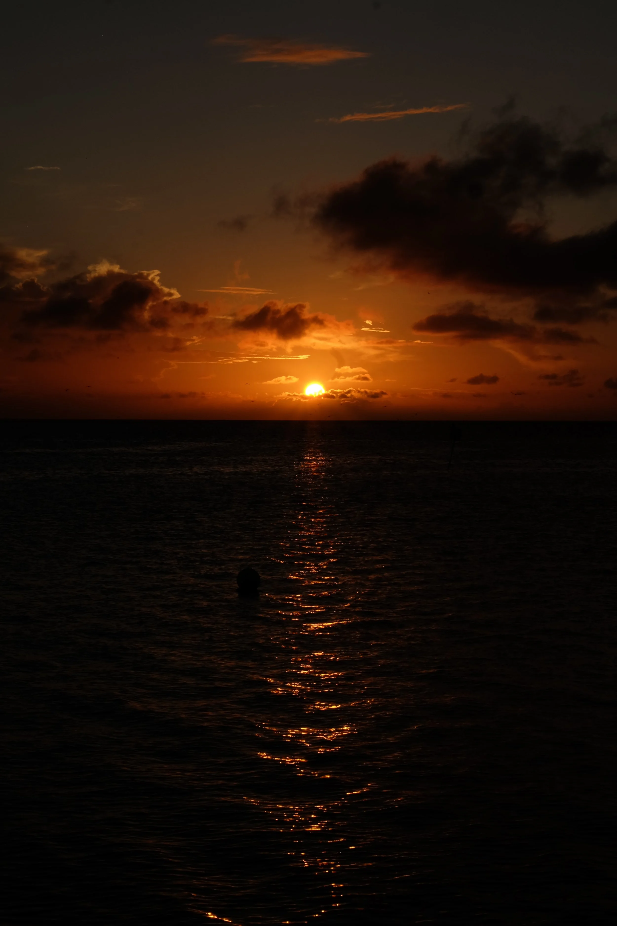 Heron Island, AU