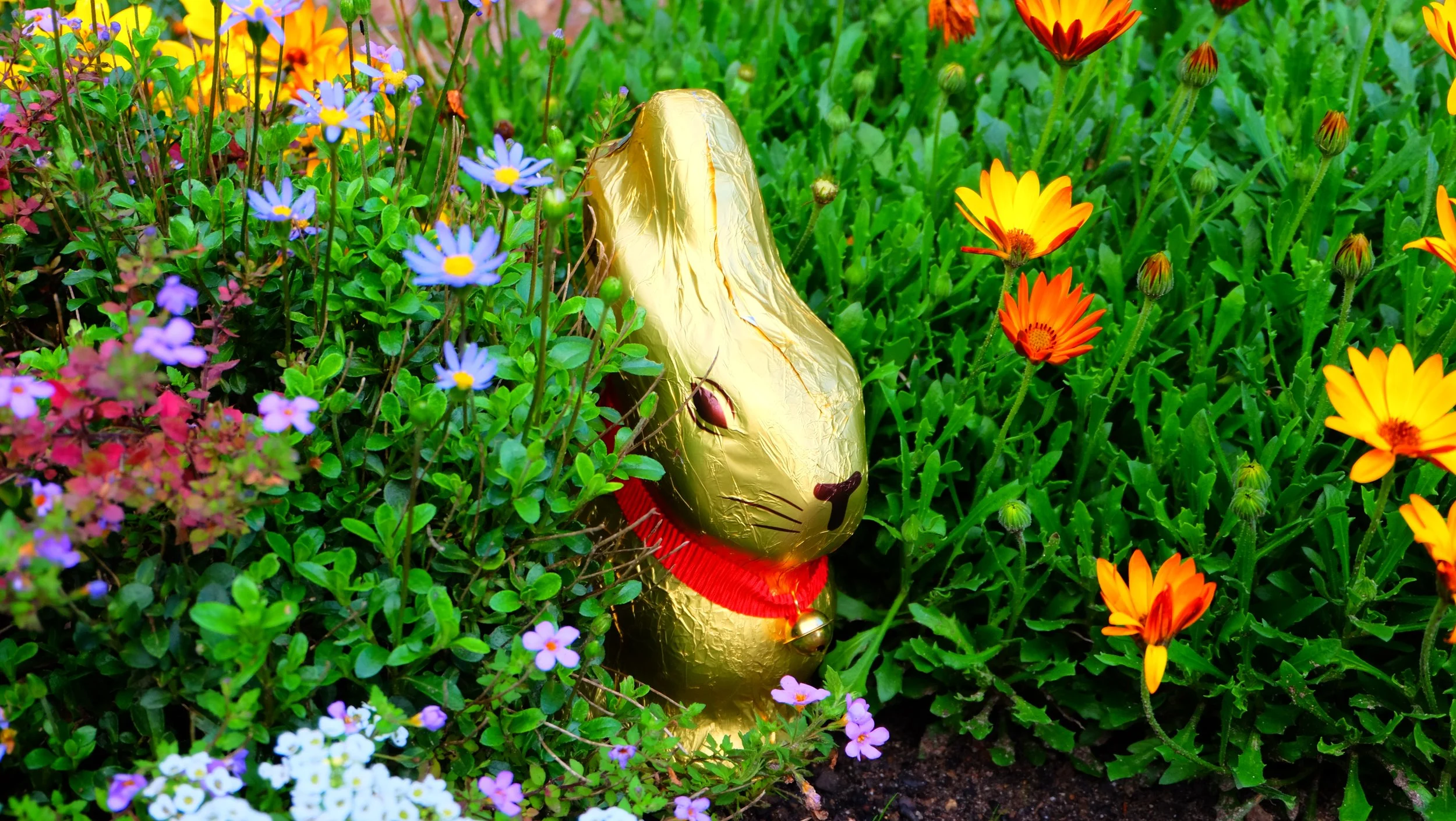 DSCF5620.JPG