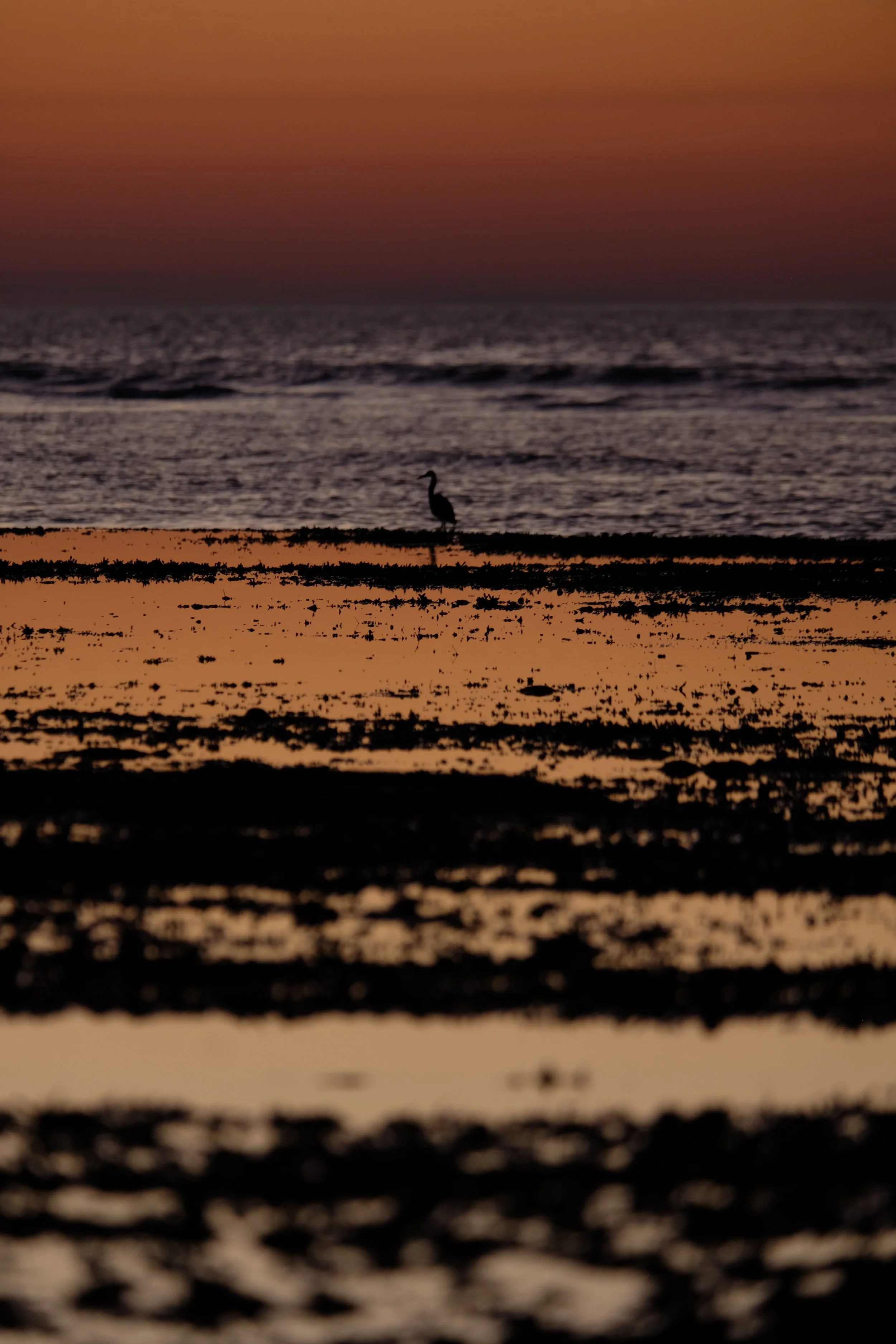 DSCF6688.JPG