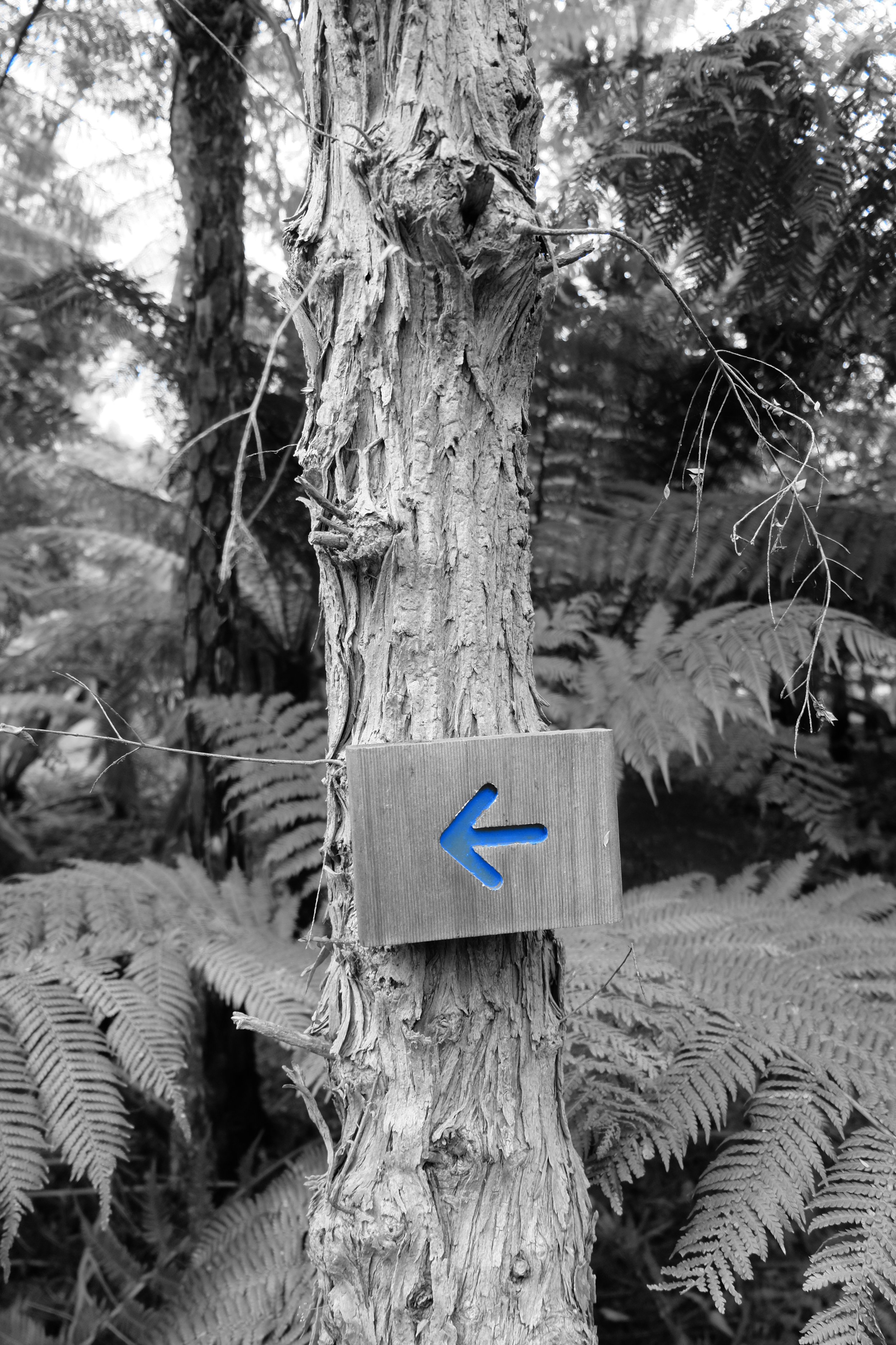 DSCF4684.JPG