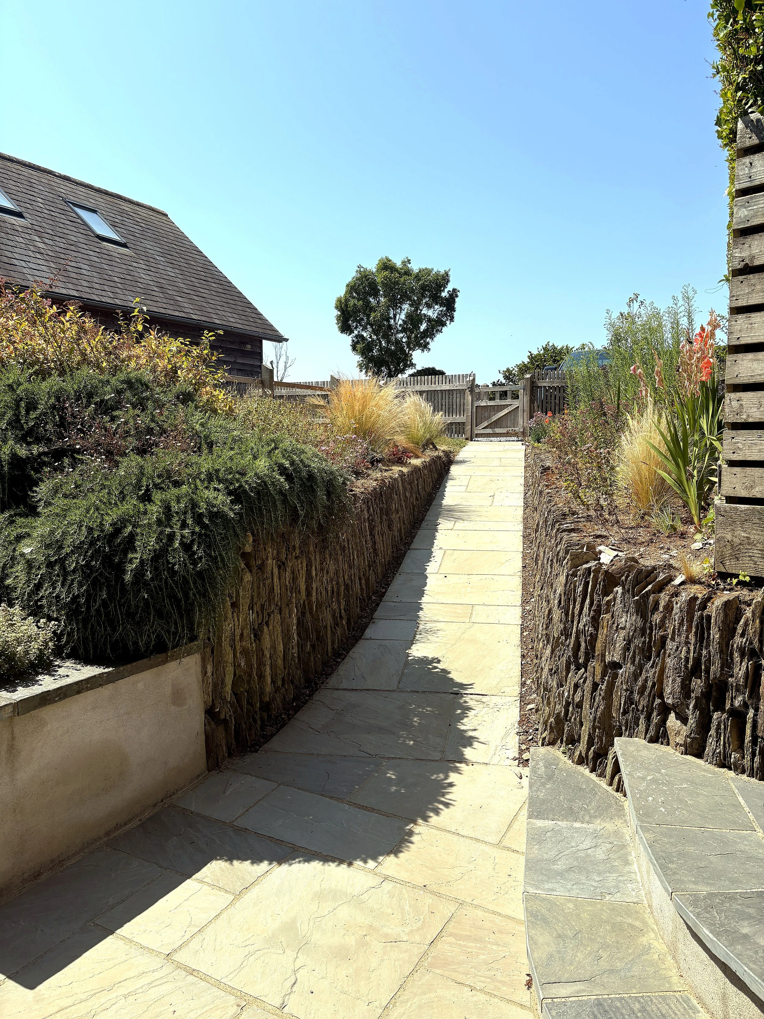 A stone pathway running between raised garden beds with bushes and tall grasses, leading to a wooden gate and fence, with a tree and house in the background under a clear blue sky.