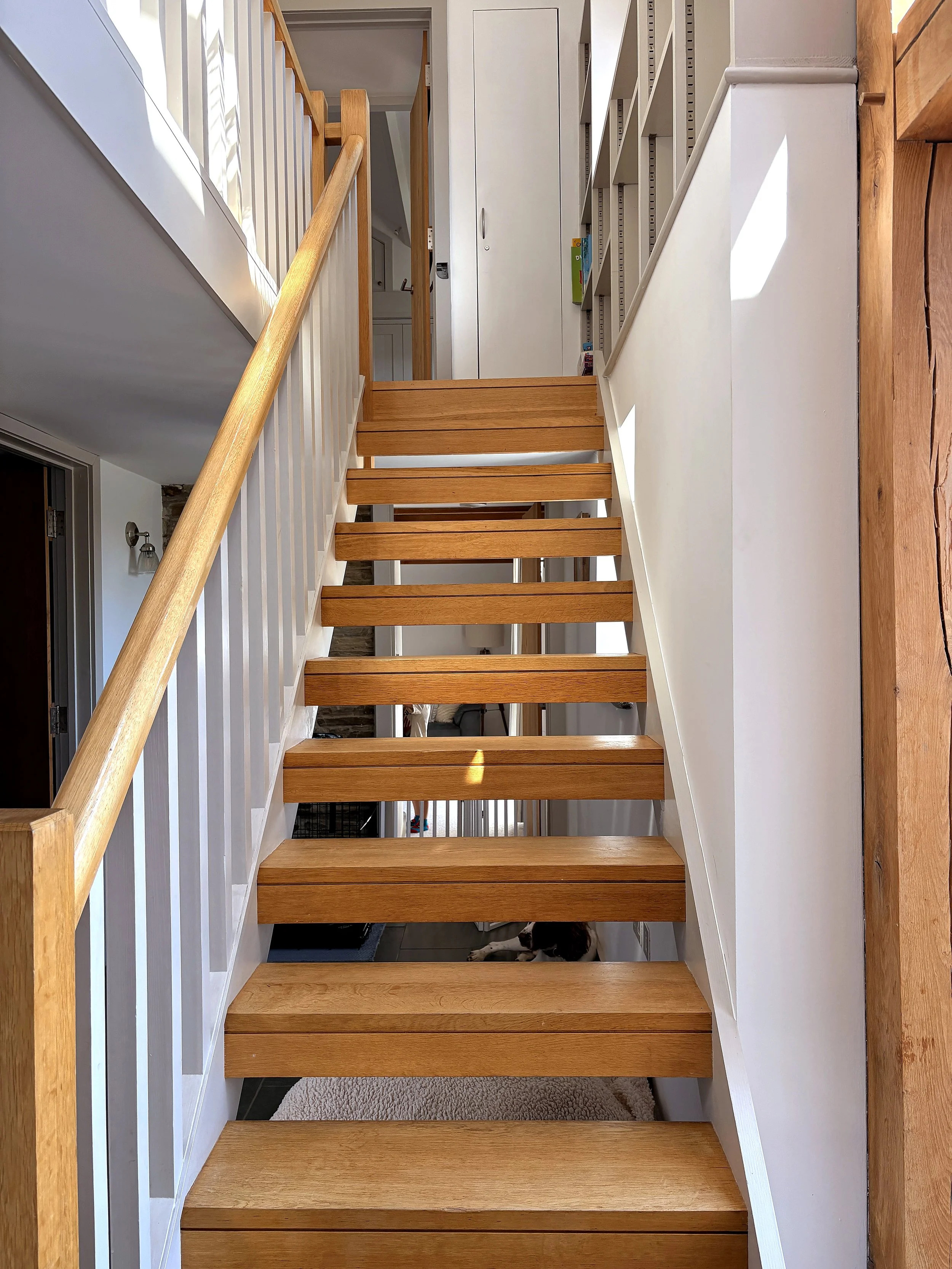 View of a staircase with wooden steps and white railings, a small black and white dog partially visible at the bottom, and a dog bed on the floor at the bottom of the stairs.
