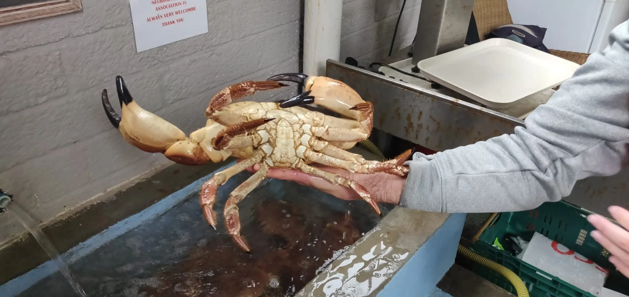 A Foodie's Guide to the South Hams